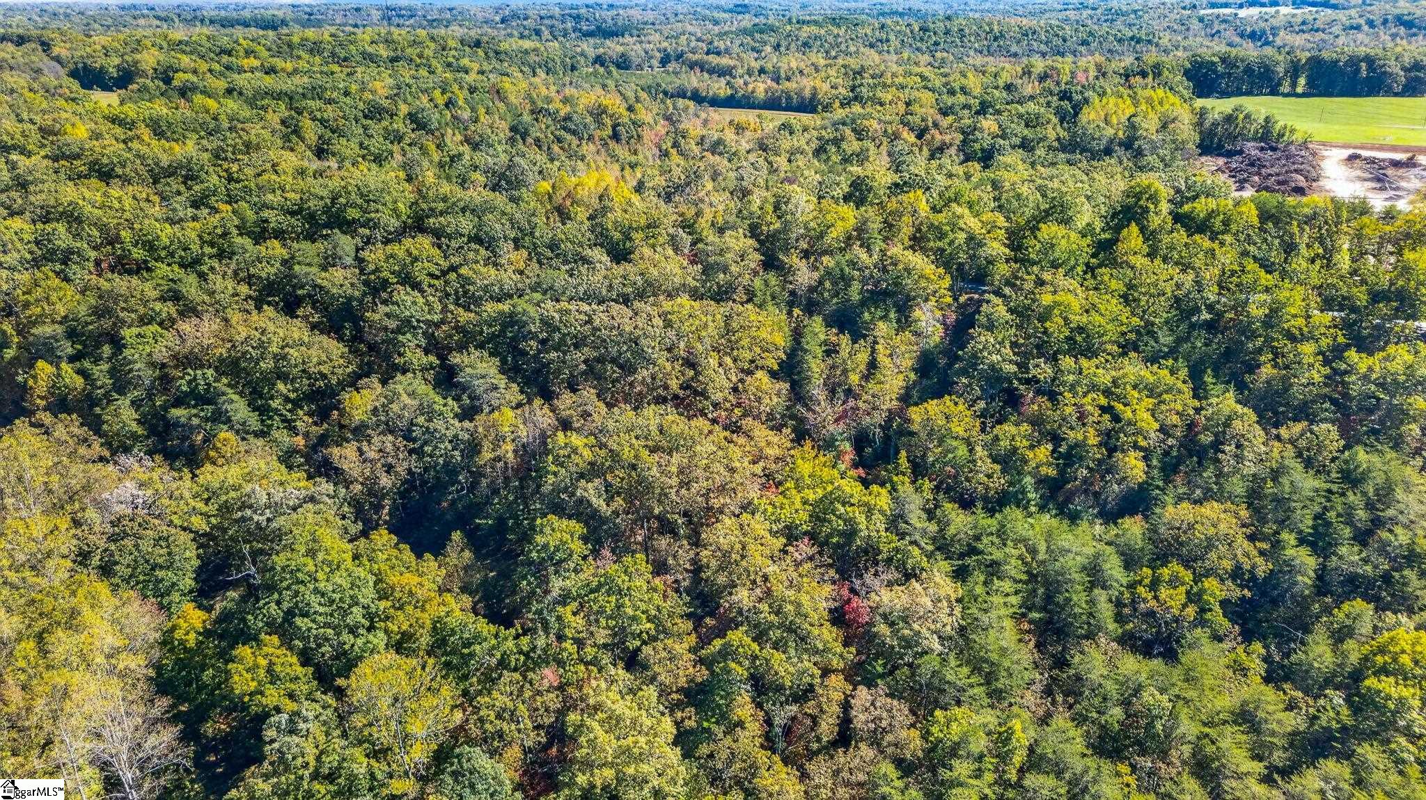 1140 Packs Mountain Ridge Road Property Photo 22