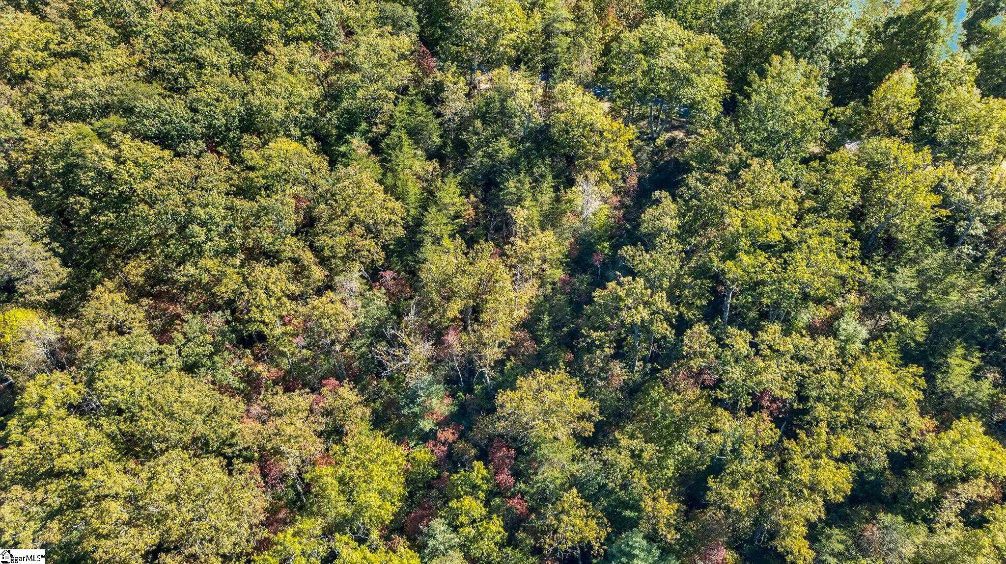1140 Packs Mountain Ridge Road Property Photo 23