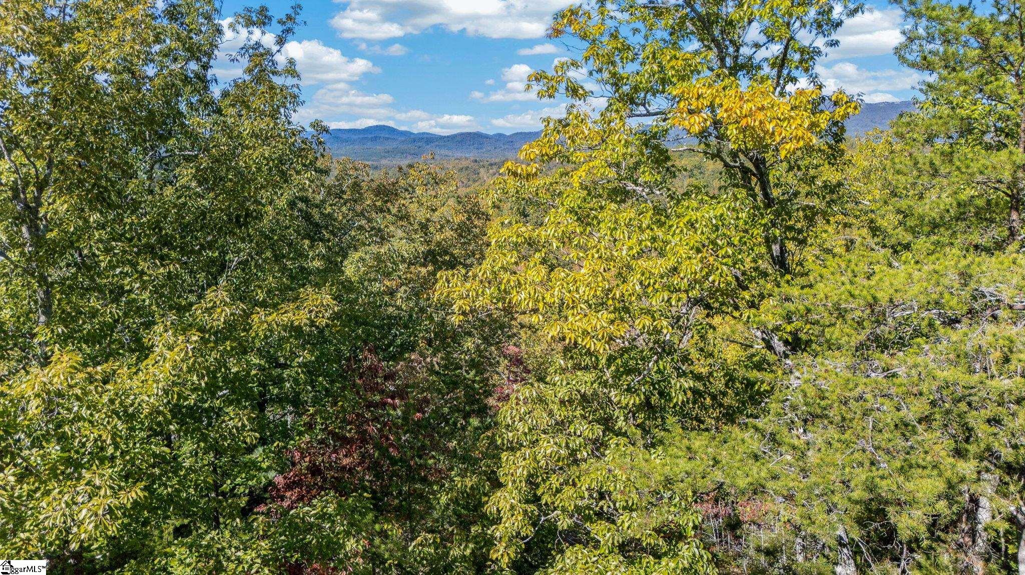 1140 Packs Mountain Ridge Road Property Photo 25