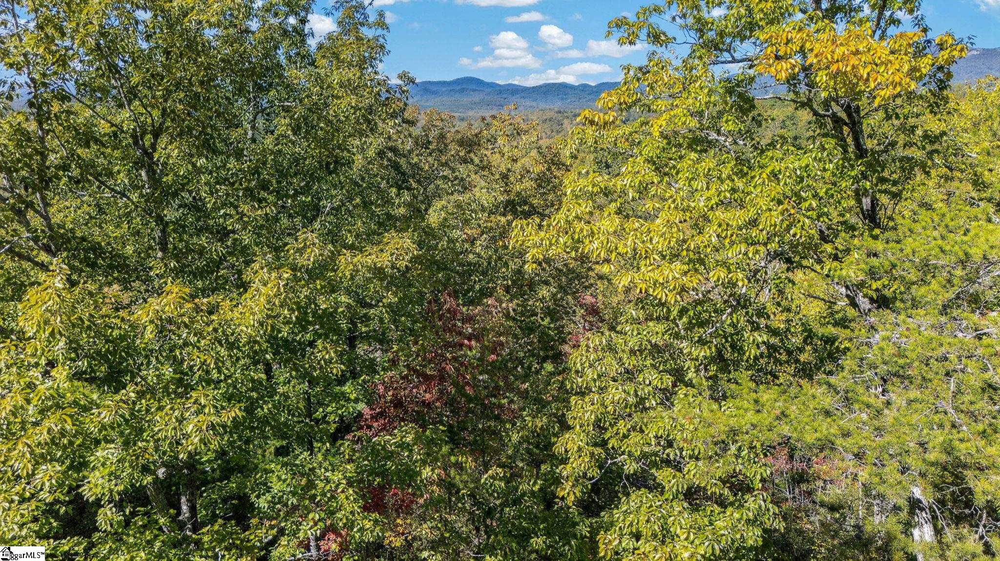 1140 Packs Mountain Ridge Road Property Photo 26