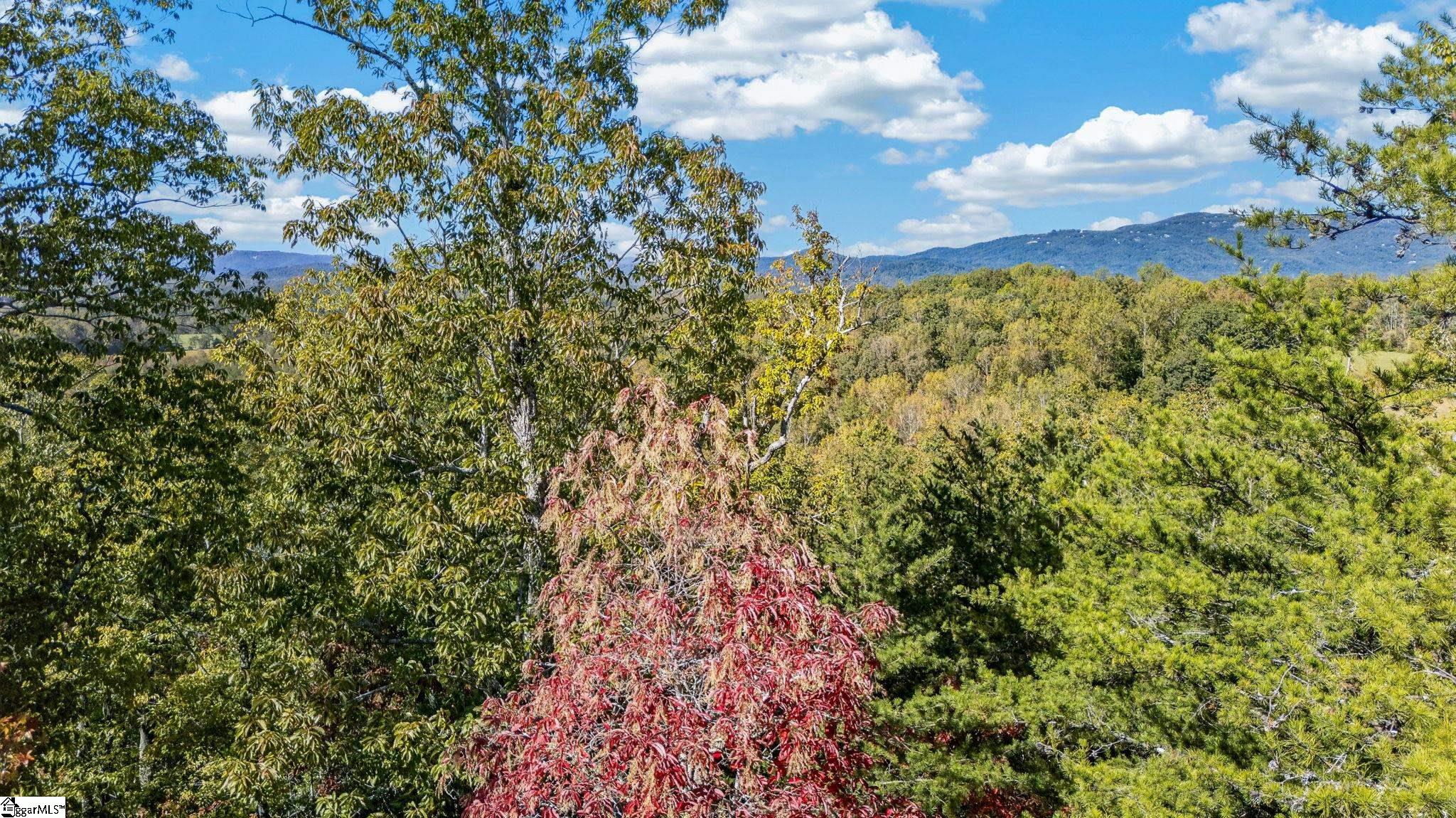 1140 Packs Mountain Ridge Road Property Photo 27