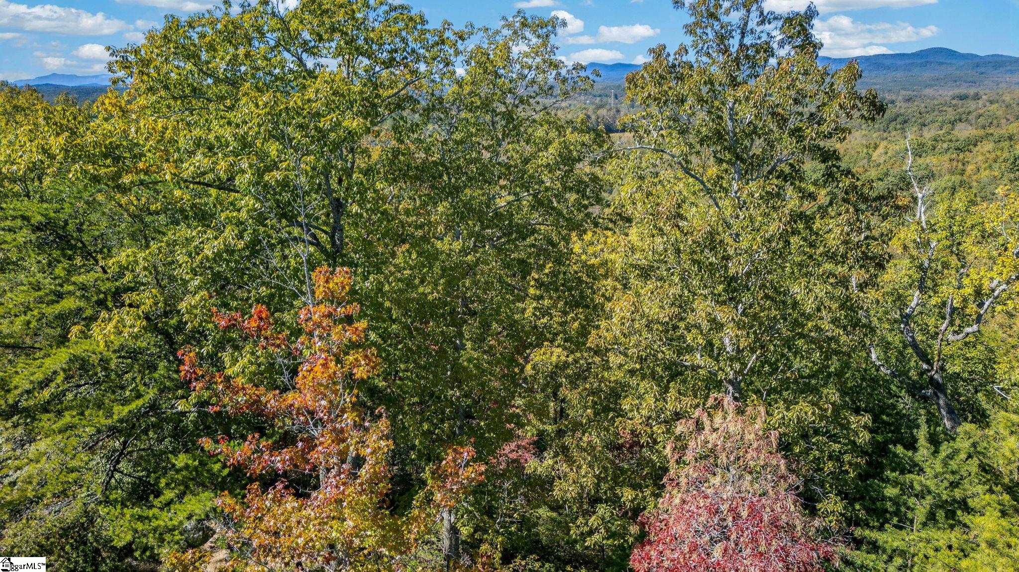 1140 Packs Mountain Ridge Road Property Photo 28