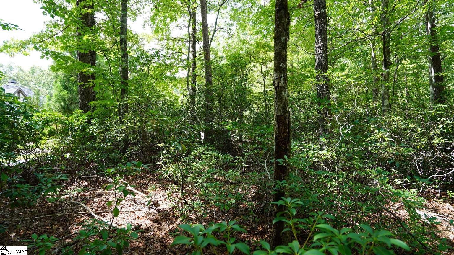 213 Ridge Haven Trail Property Photo 3