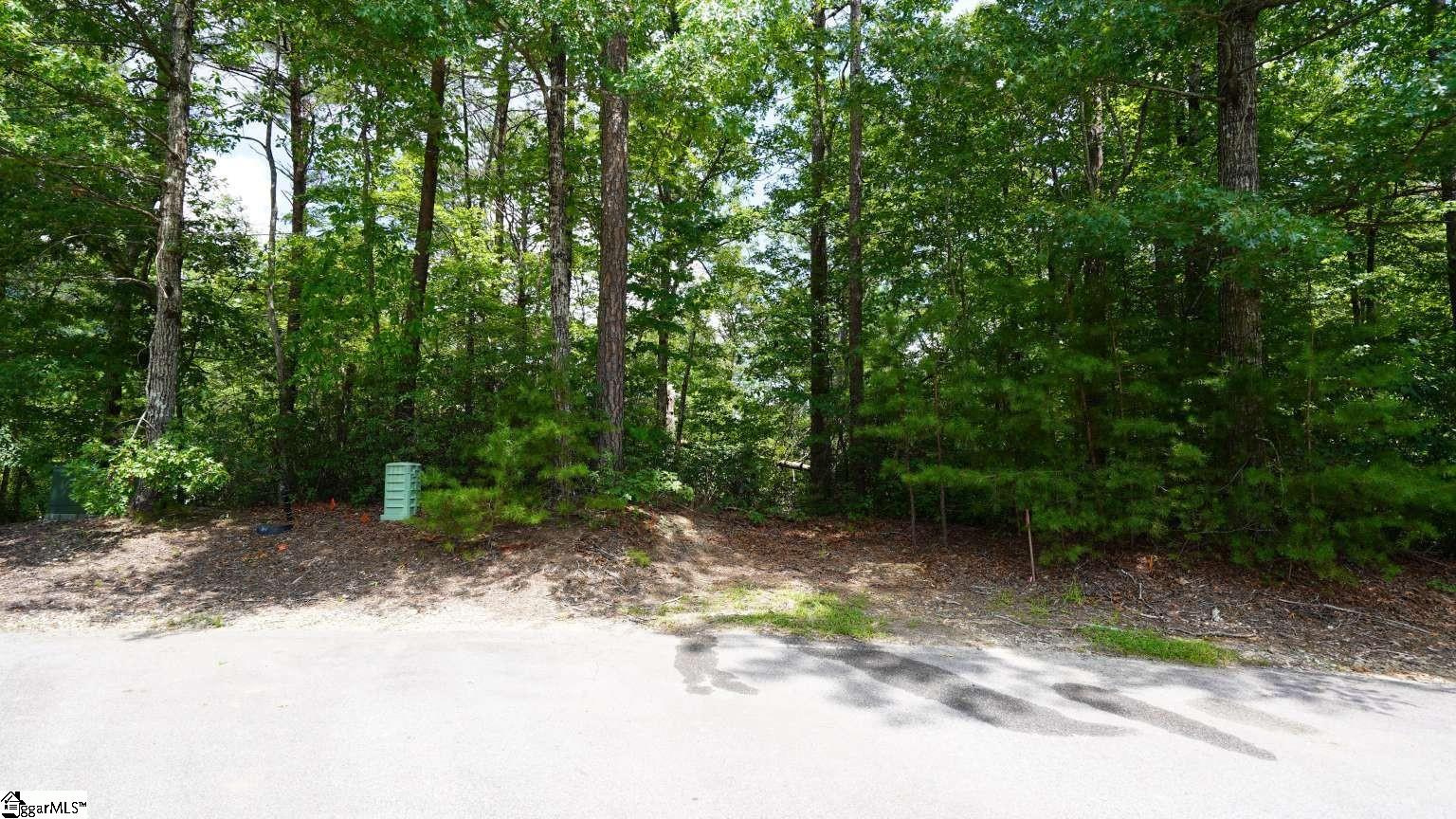 213 Ridge Haven Trail Property Photo 4