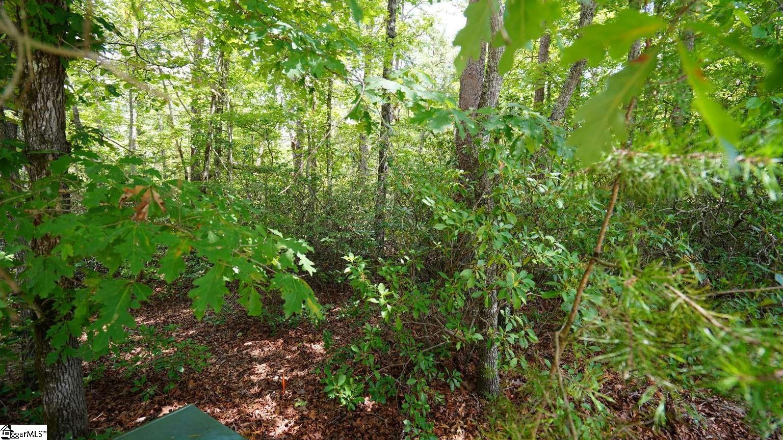 213 Ridge Haven Trail Property Photo 5