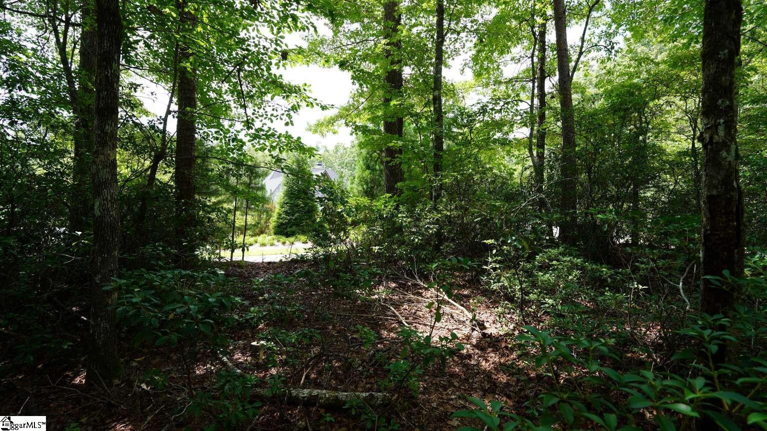 213 Ridge Haven Trail Property Photo 6