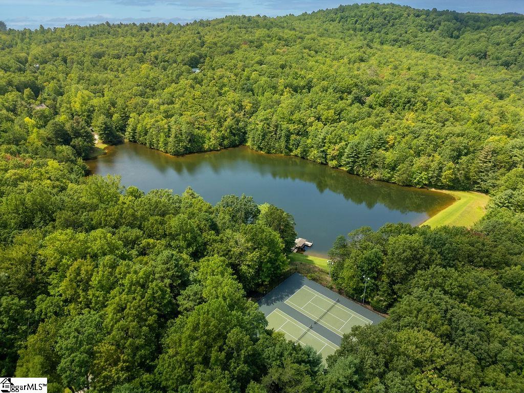 503 Cliff Ridge Drive Property Photo 36