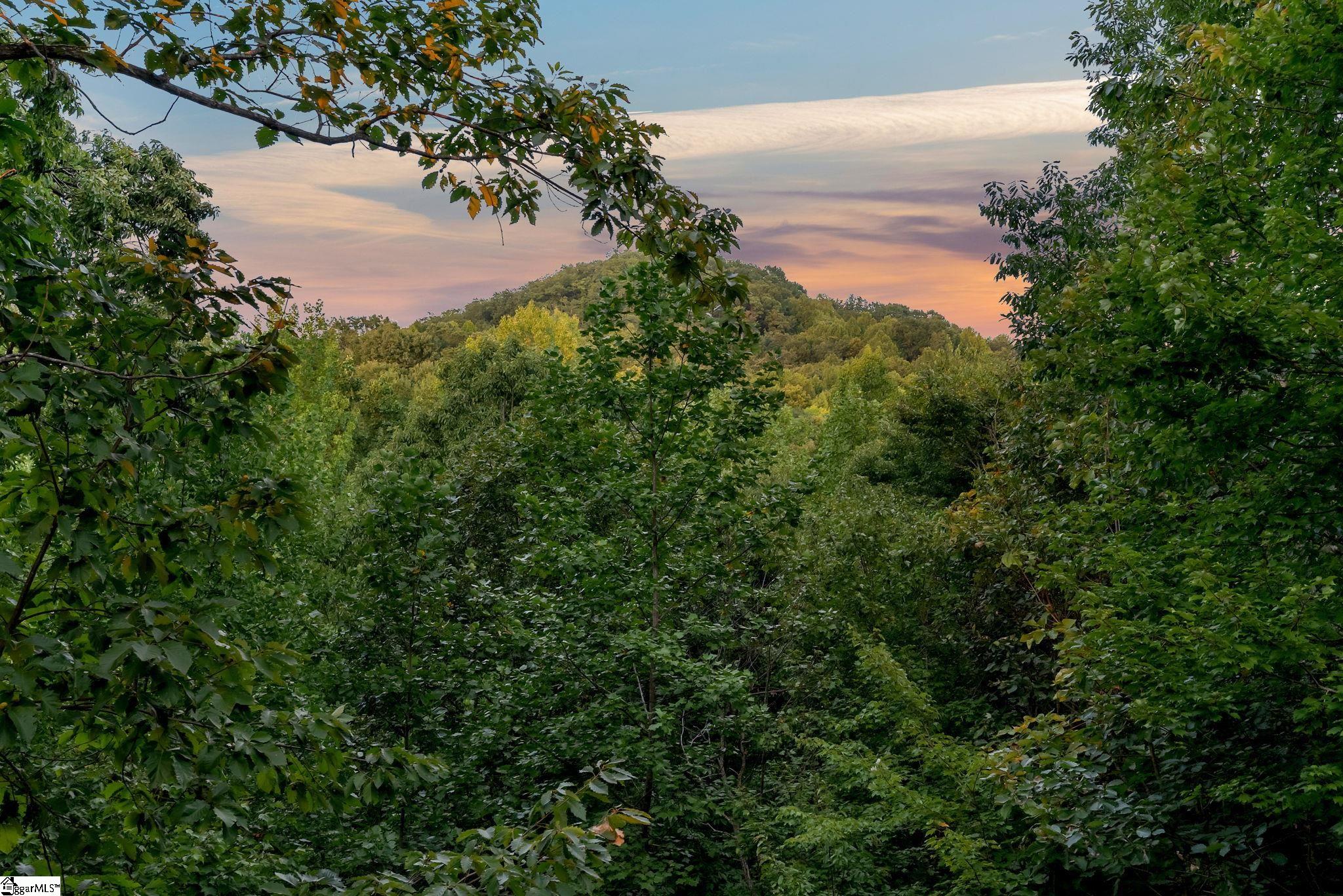 124 Grey Widgeon Trail Property Photo 3