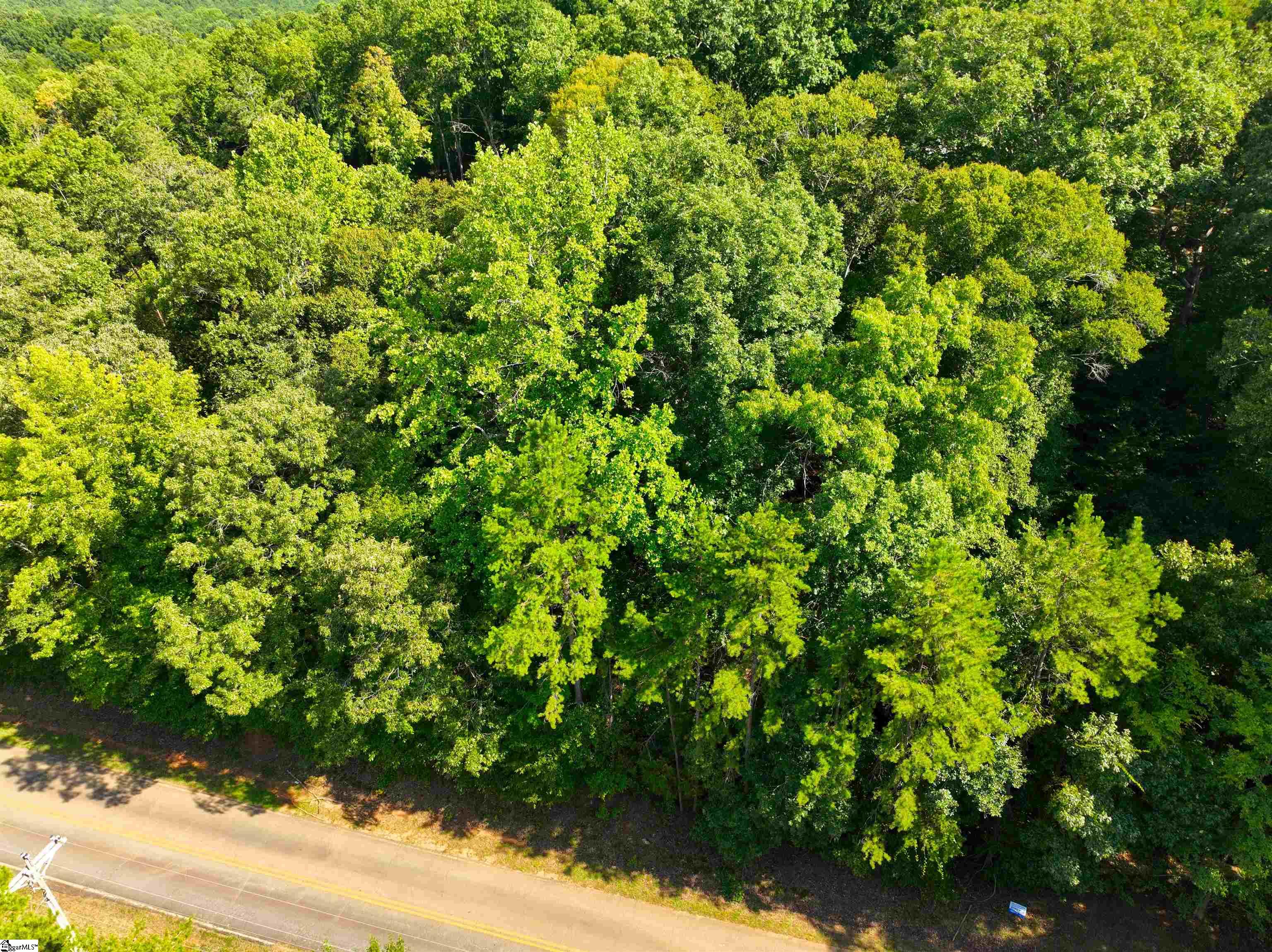 453 Lake Secession Road Property Photo 7