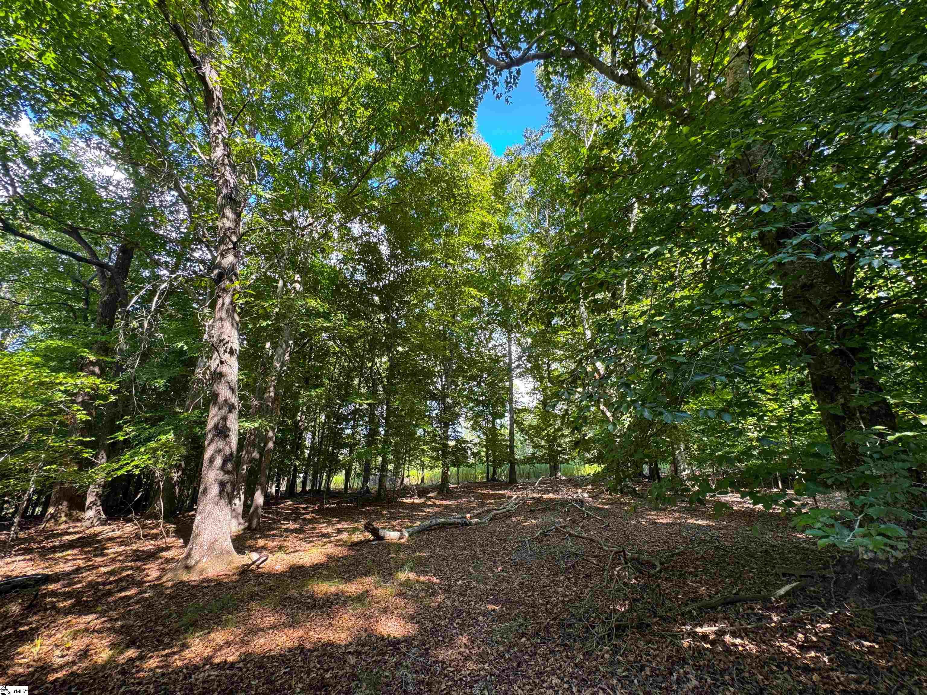 453 Lake Secession Road Property Photo 10