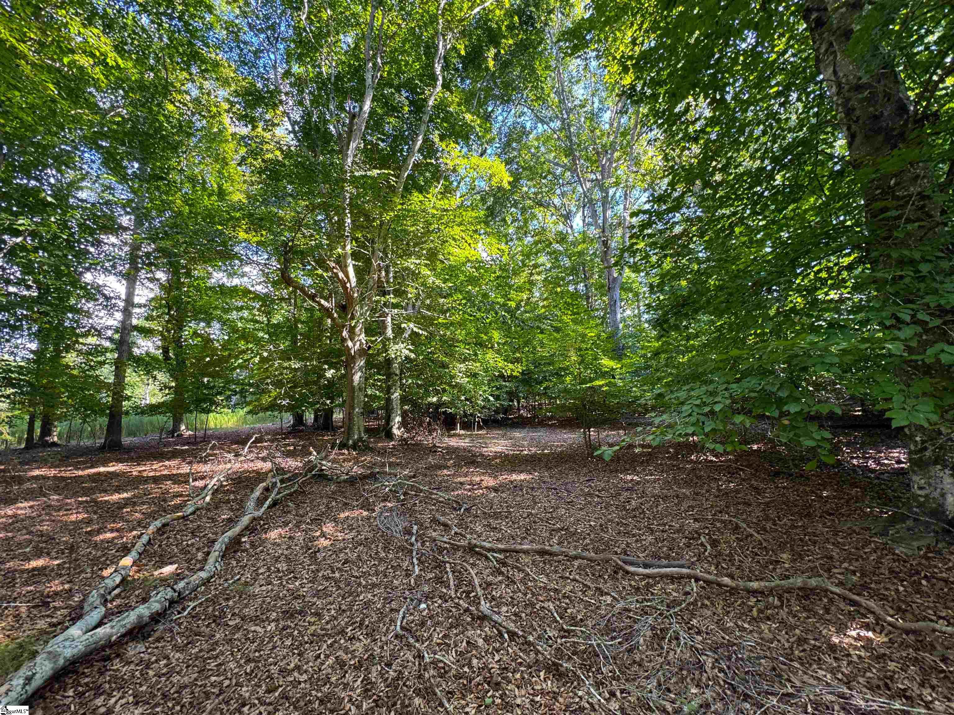 453 Lake Secession Road Property Photo 12