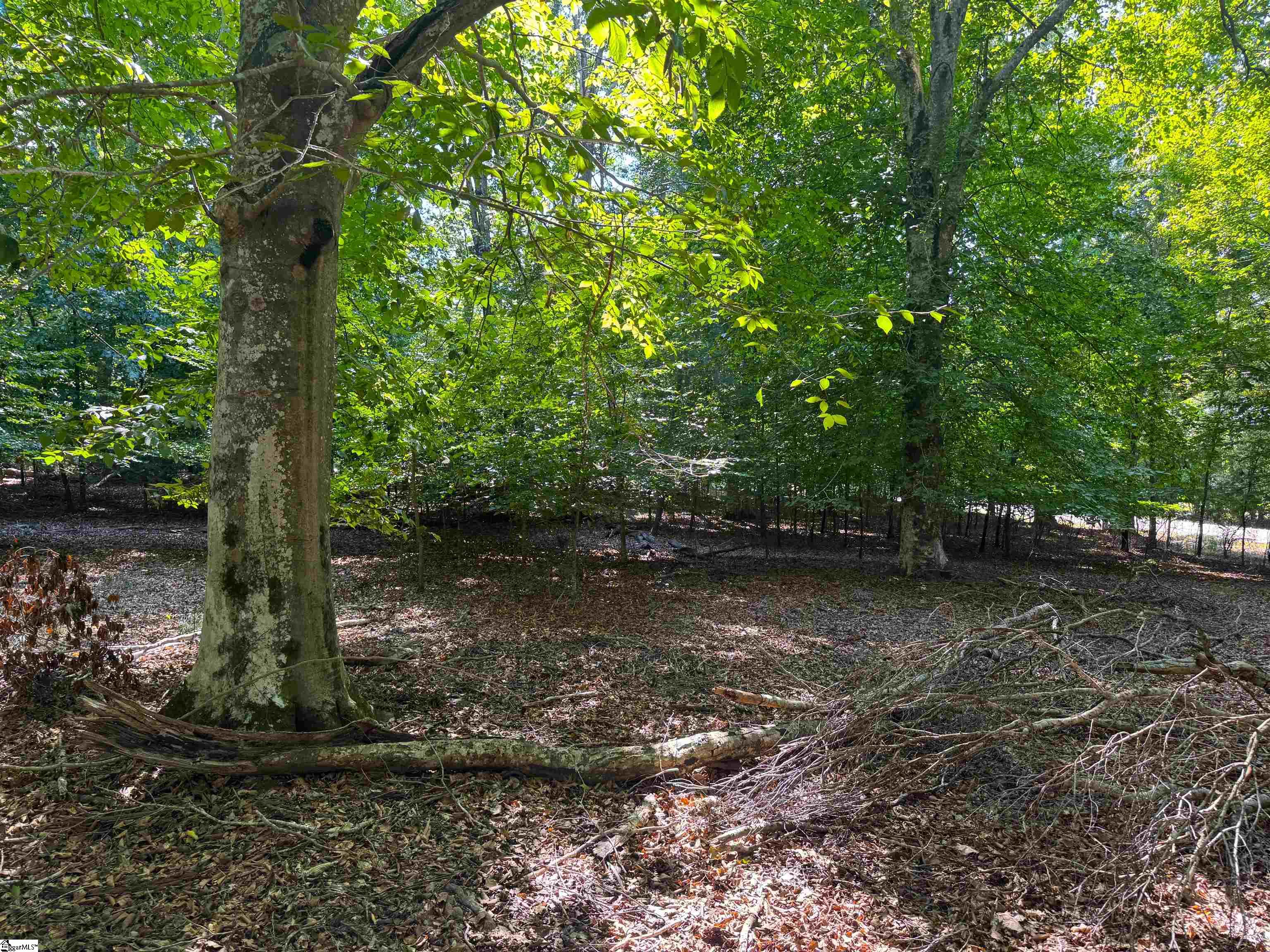 453 Lake Secession Road Property Photo 13