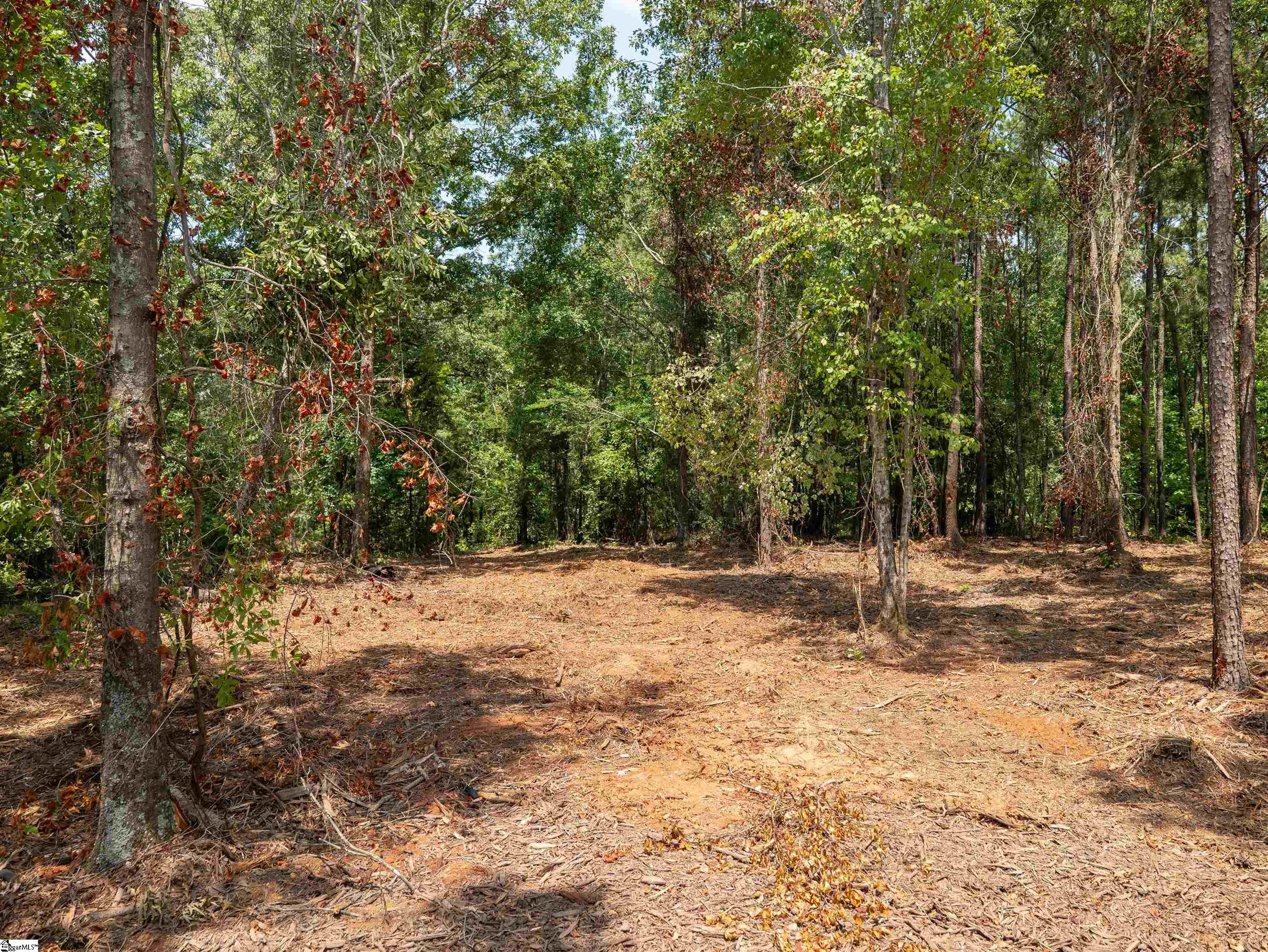 00 Cheek Road Property Photo 11