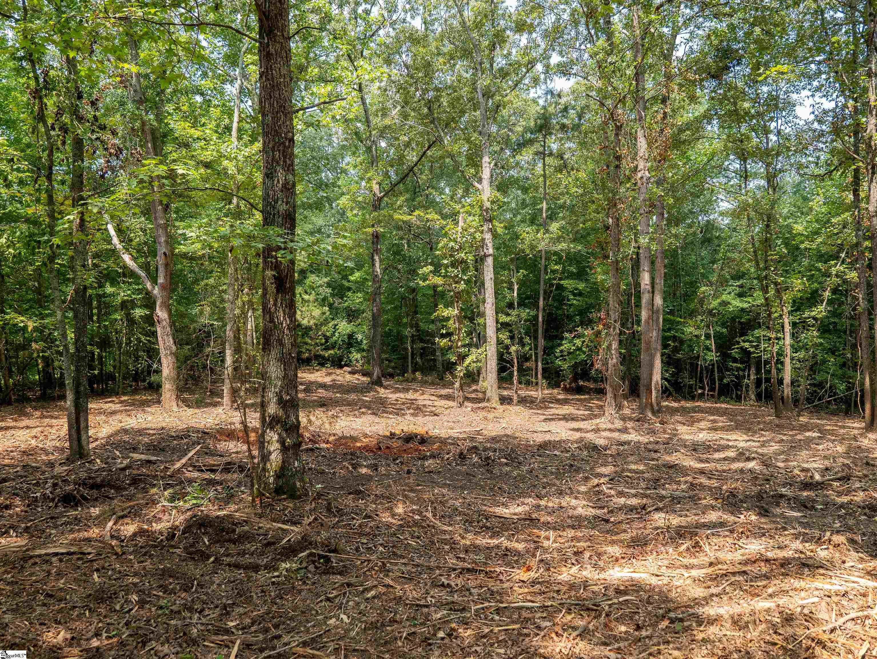 00 Cheek Road Property Photo 16