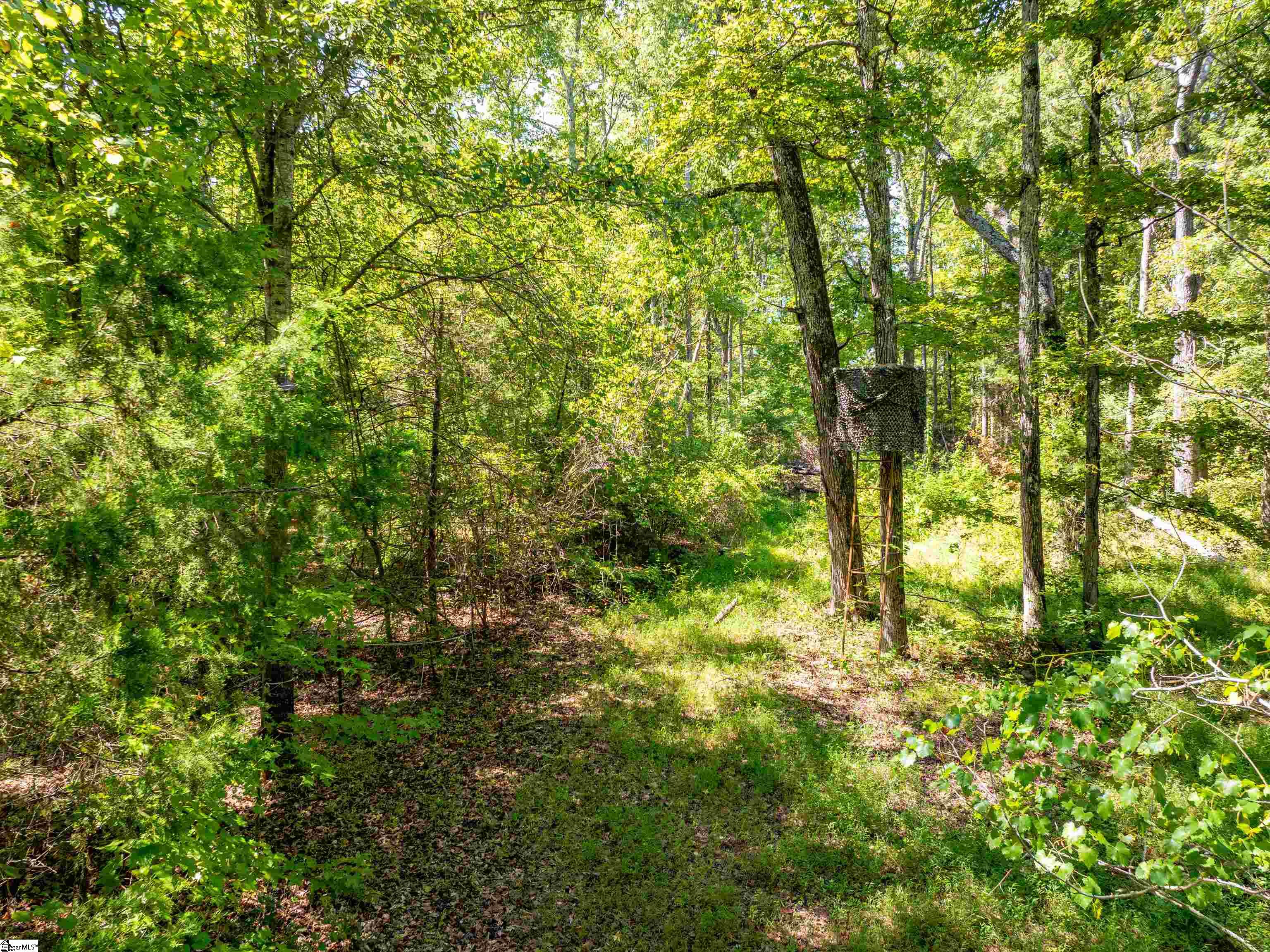 1955 E Georgia Road Property Photo 17