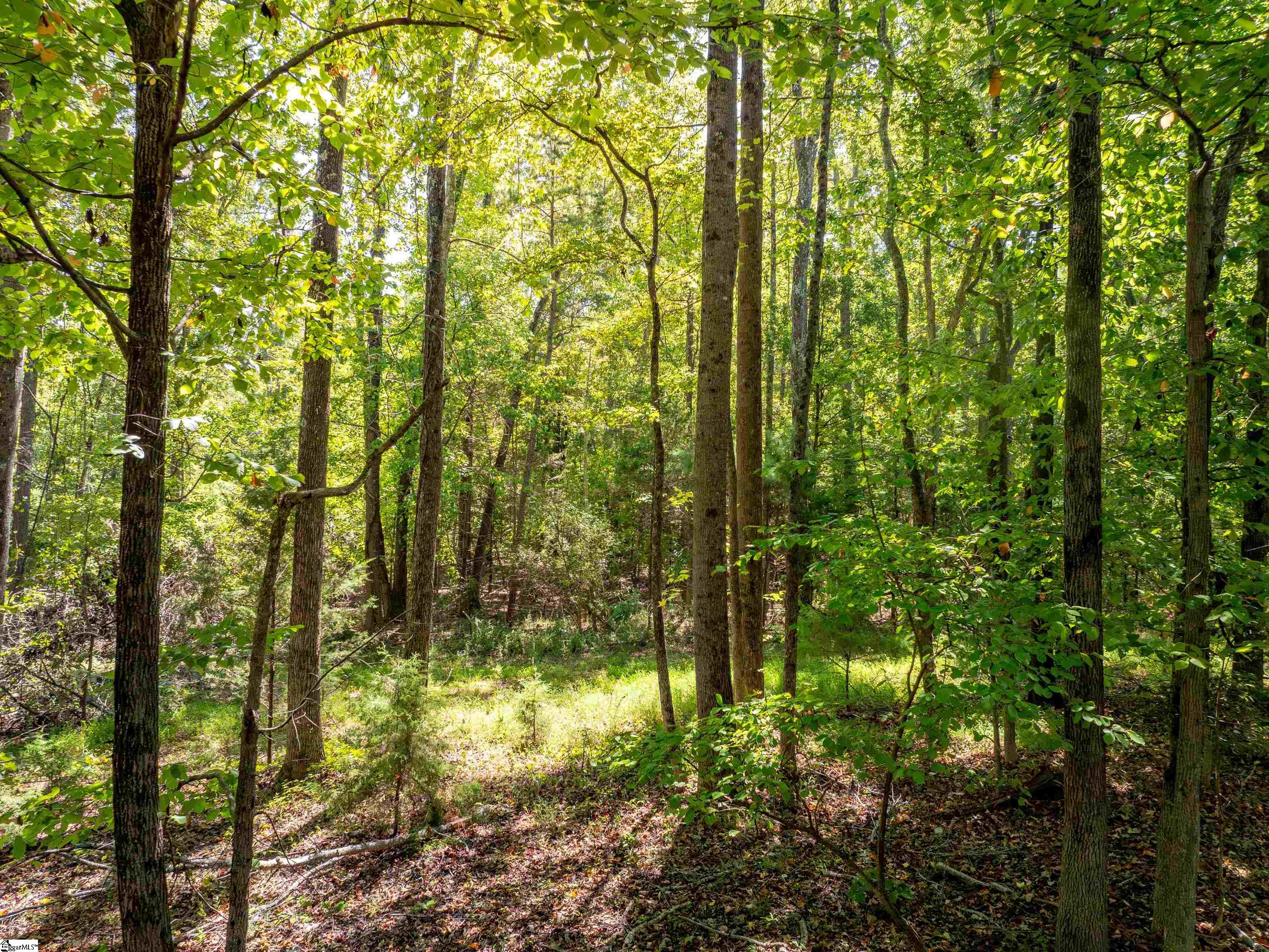 1955 E Georgia Road Property Photo 18
