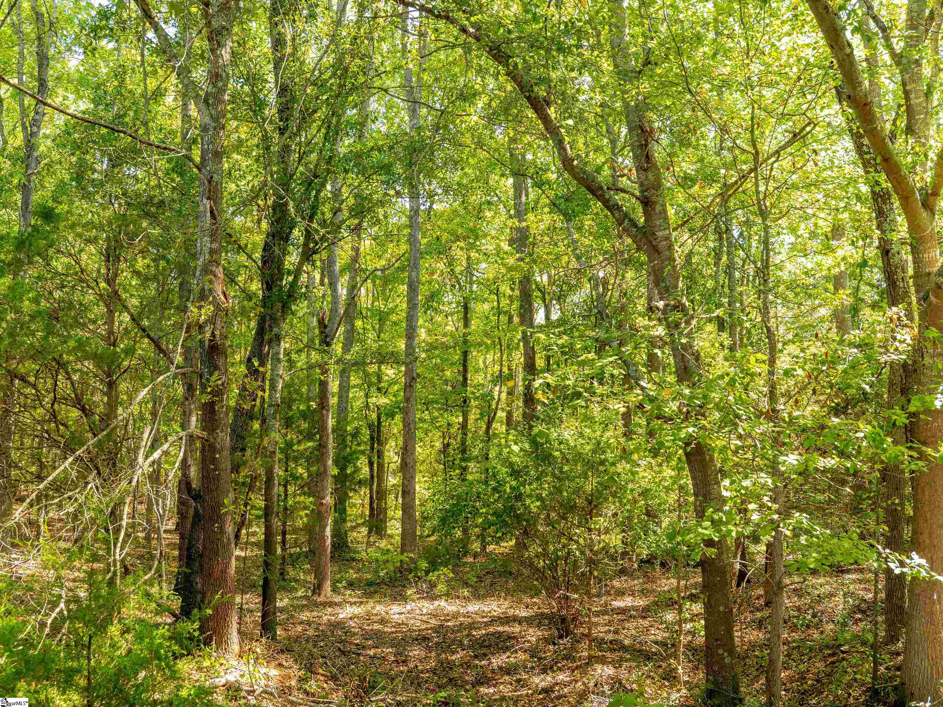 1955 E Georgia Road Property Photo 37