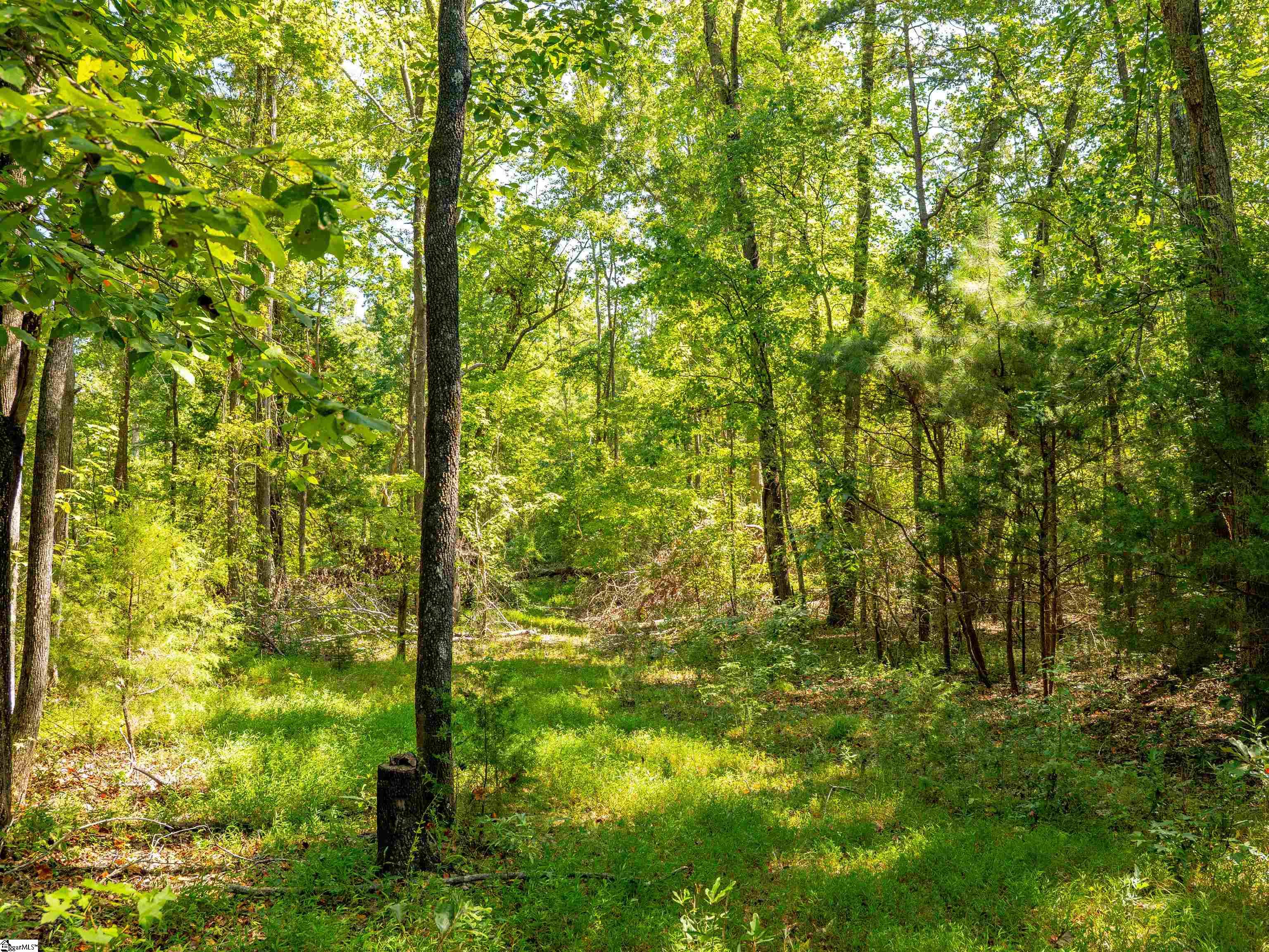 1955 E Georgia Road Property Photo 38