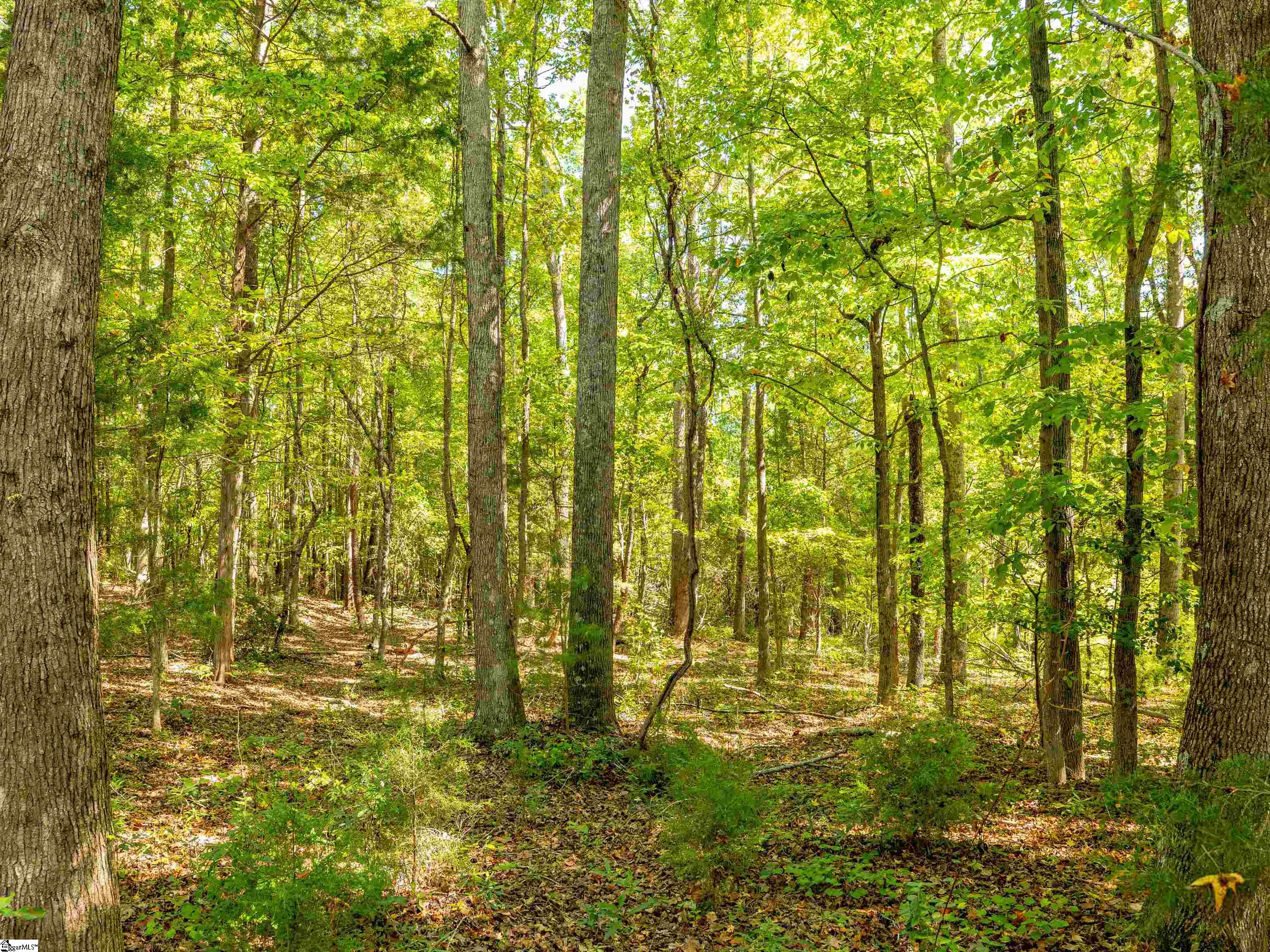 1955 E Georgia Road Property Photo 39