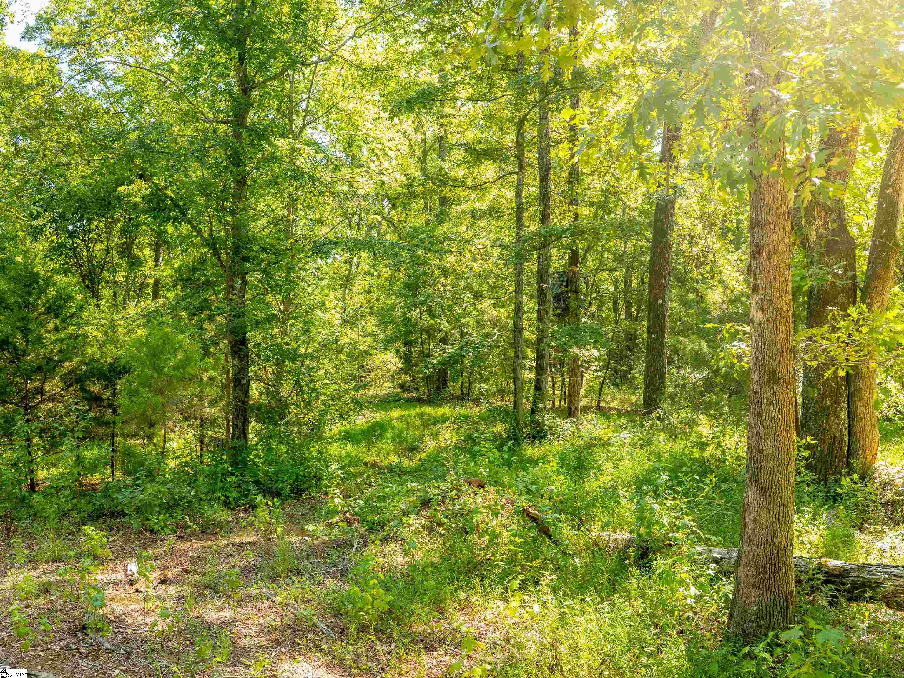 1955 E Georgia Road Property Photo 40