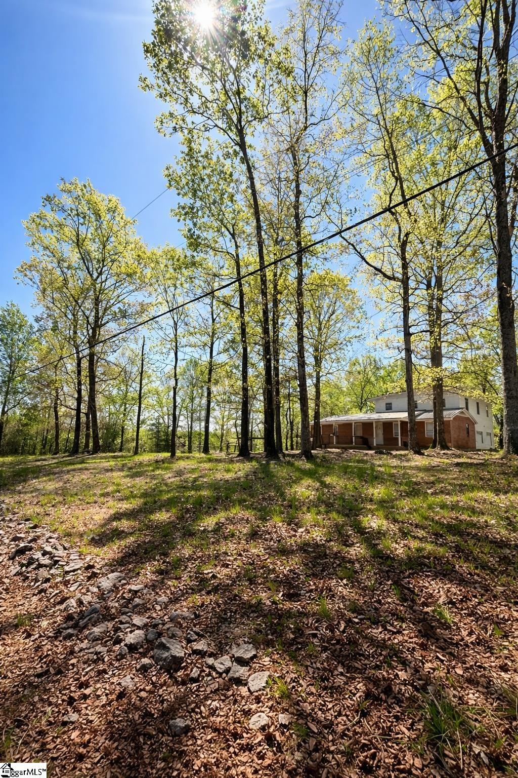 4124 414 Highway Property Photo 2