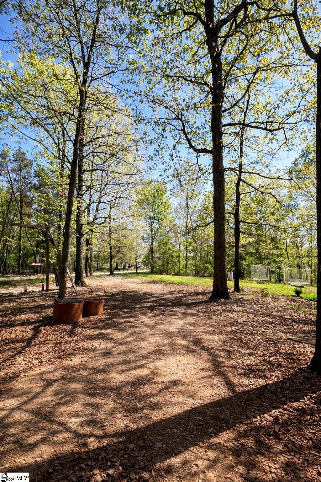 4124 414 Highway Property Photo 3