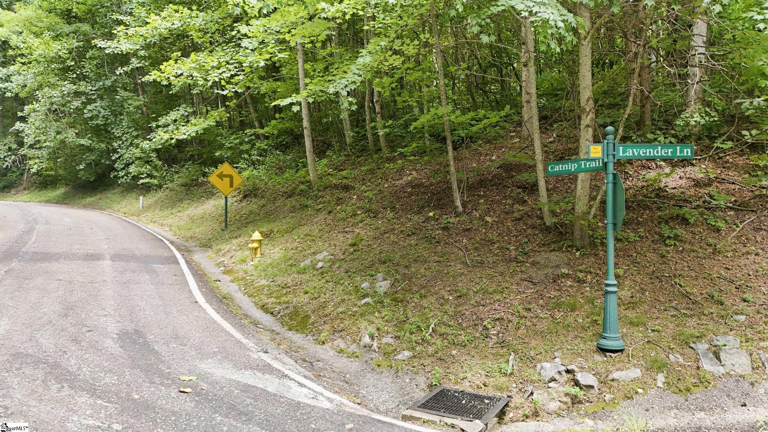 164 Catnip Trail Property Photo 2