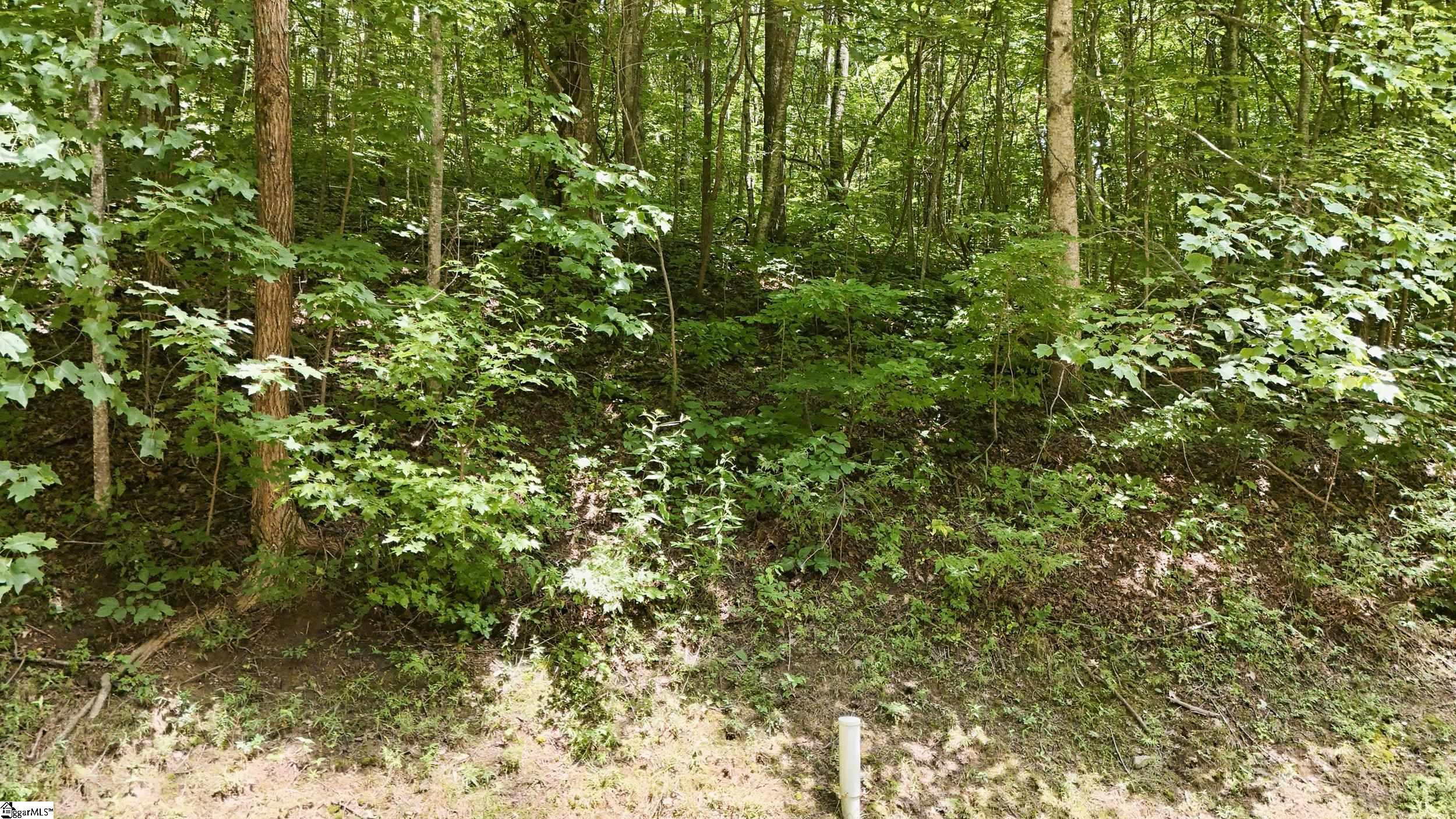164 Catnip Trail Property Photo 14