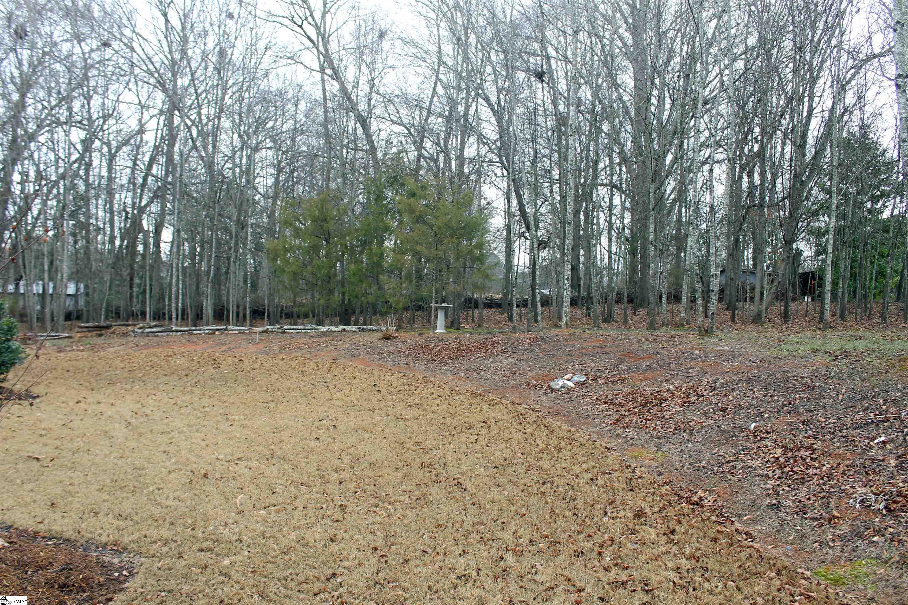 203 Palmetto Farms Way Property Photo 34