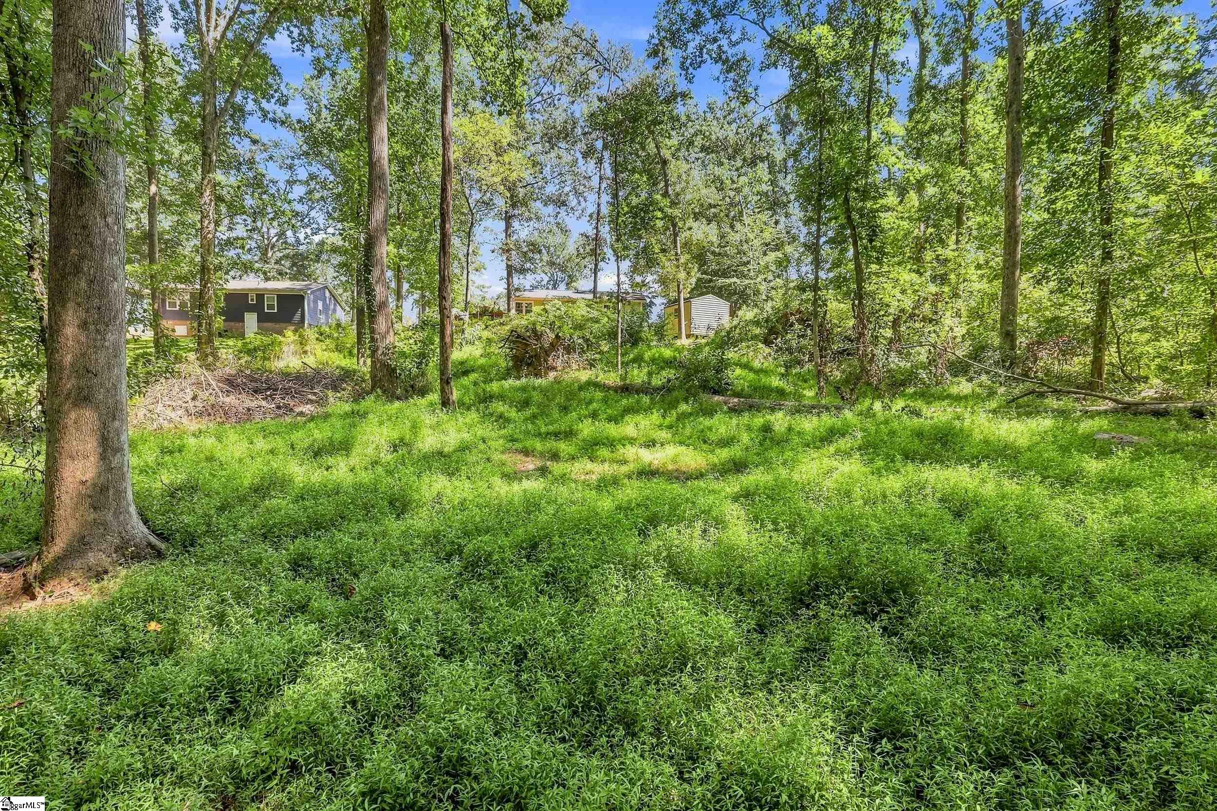 113 Blue Ridge Drive Property Photo 3