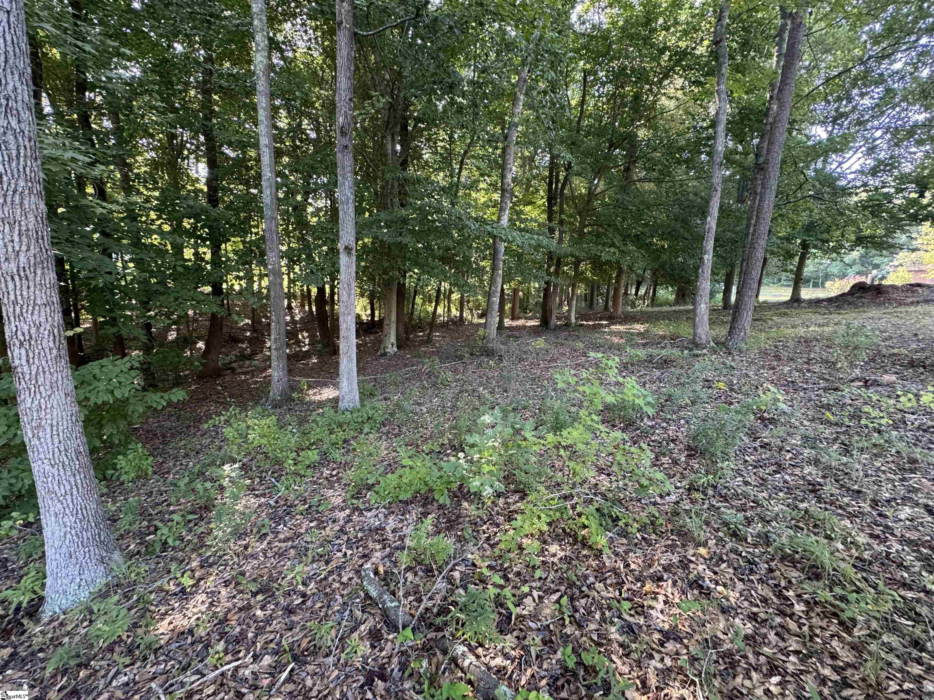 252 Currys Lake Circle Property Photo 5