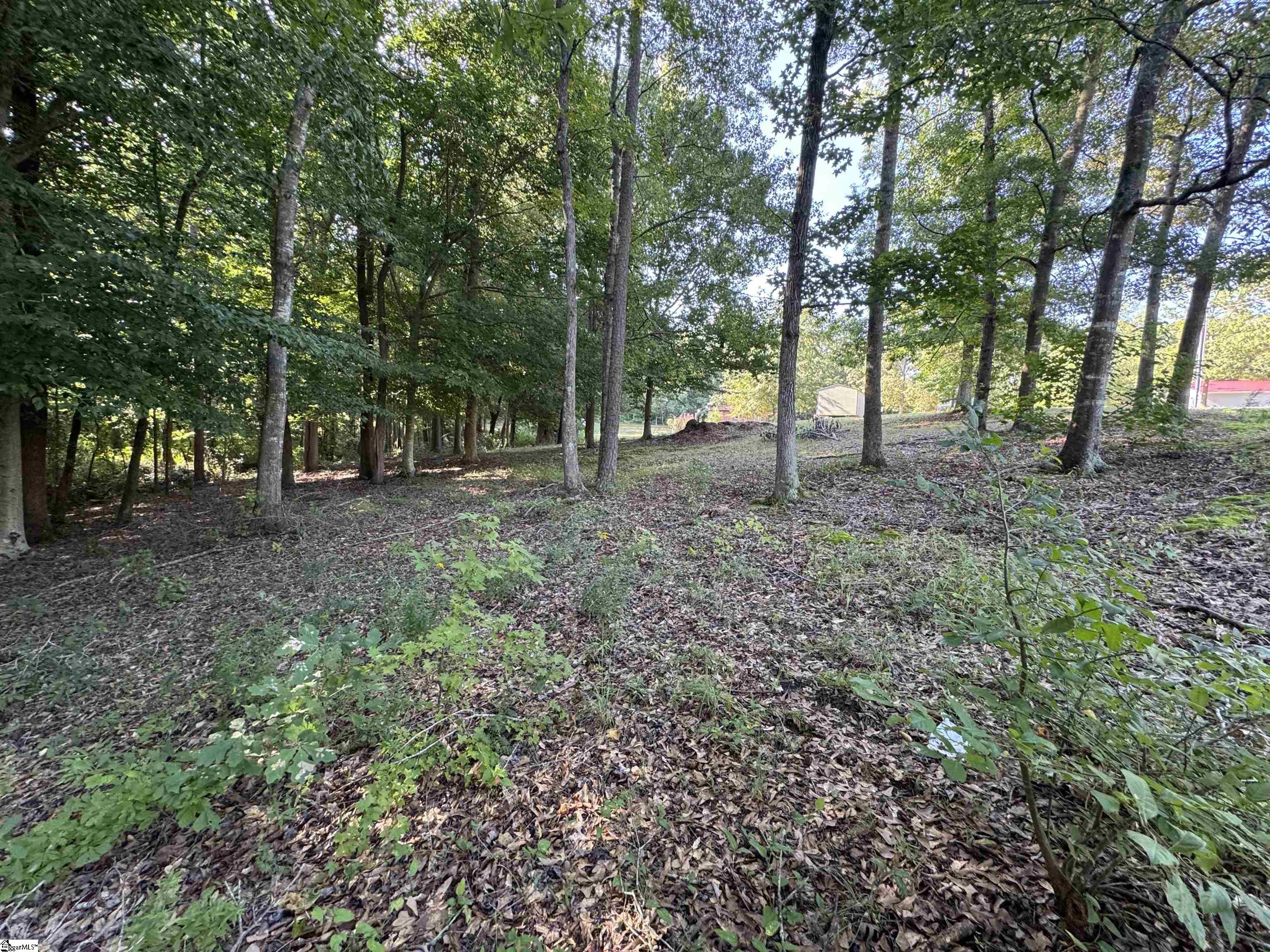 252 Currys Lake Circle Property Photo 6