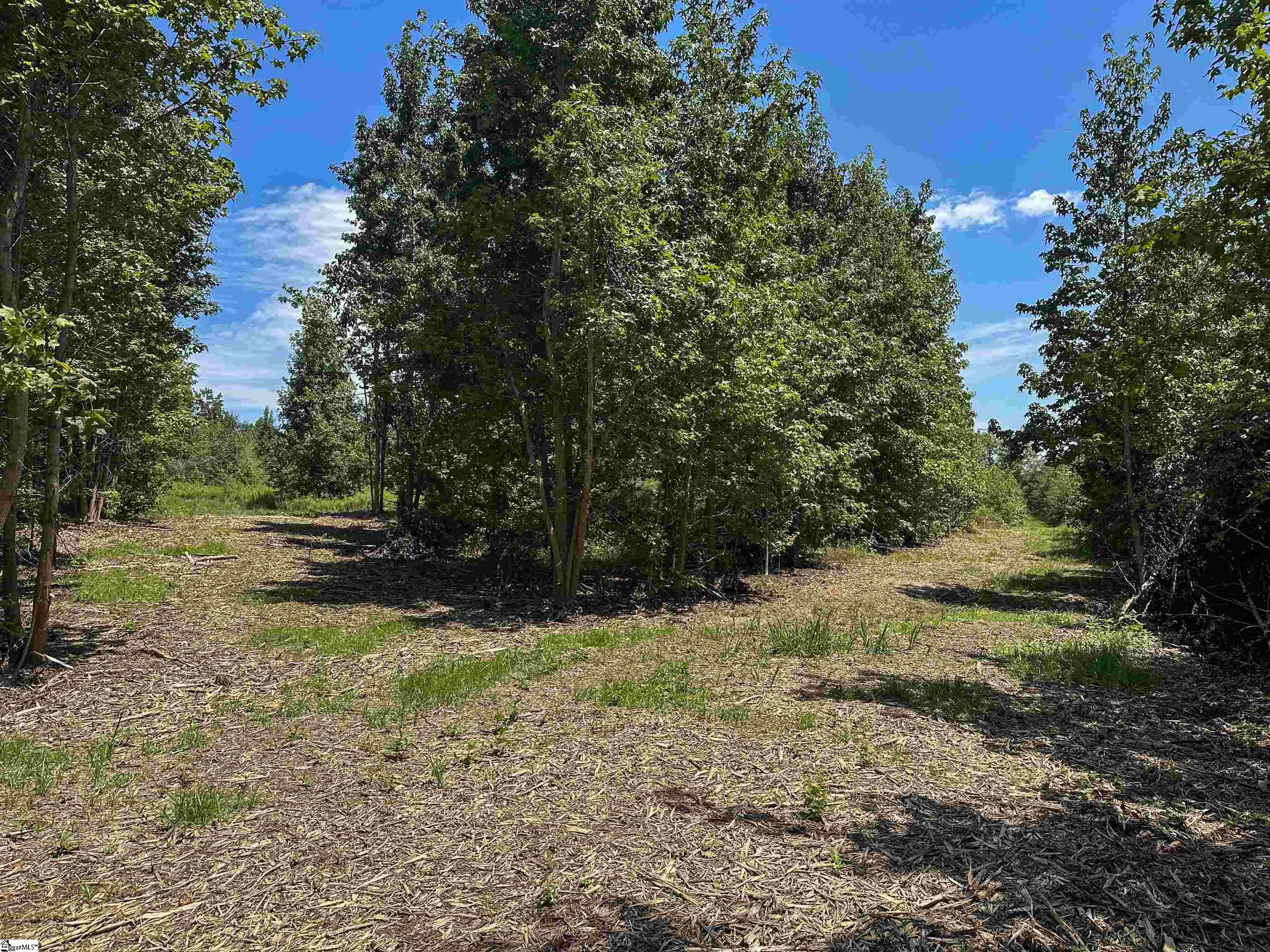 4200 Old Dobbins Bridge Road Property Photo 17