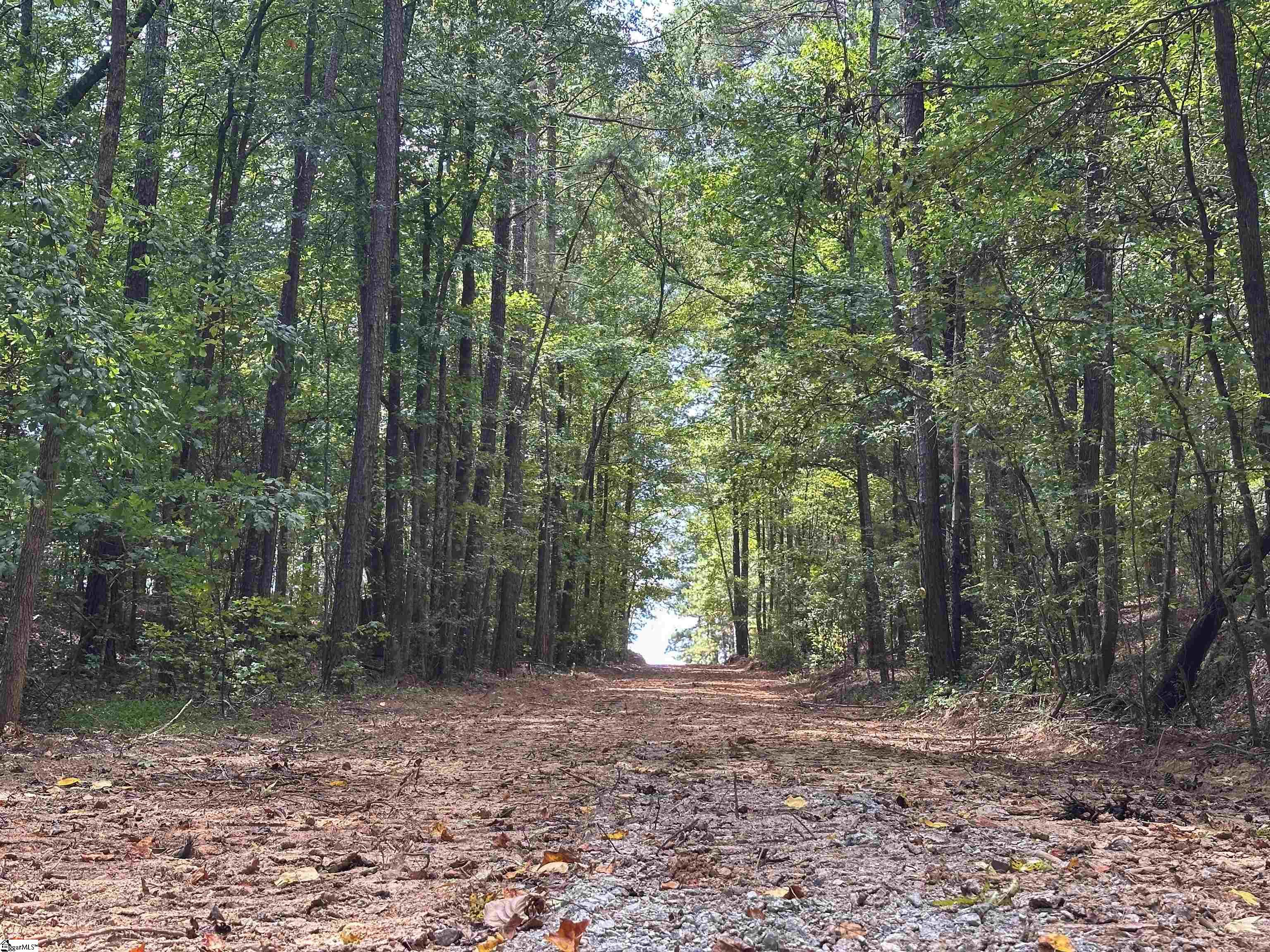 4200 Old Dobbins Bridge Road Property Photo 22