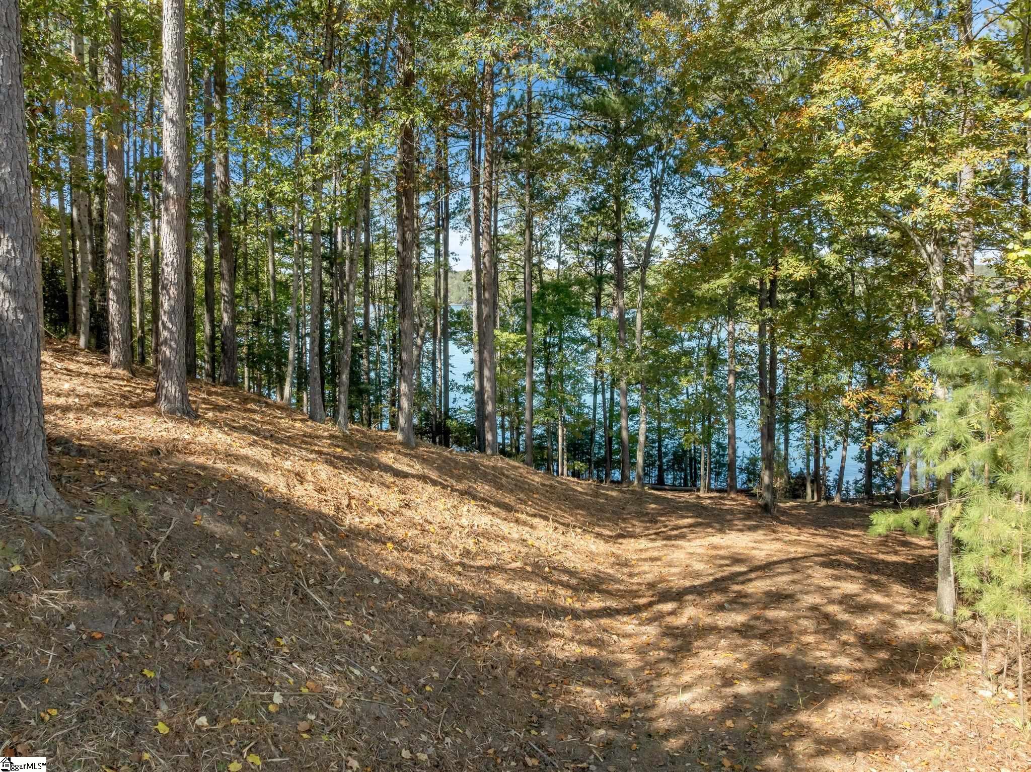 145 & 149 Bright Water Trail Property Photo 3