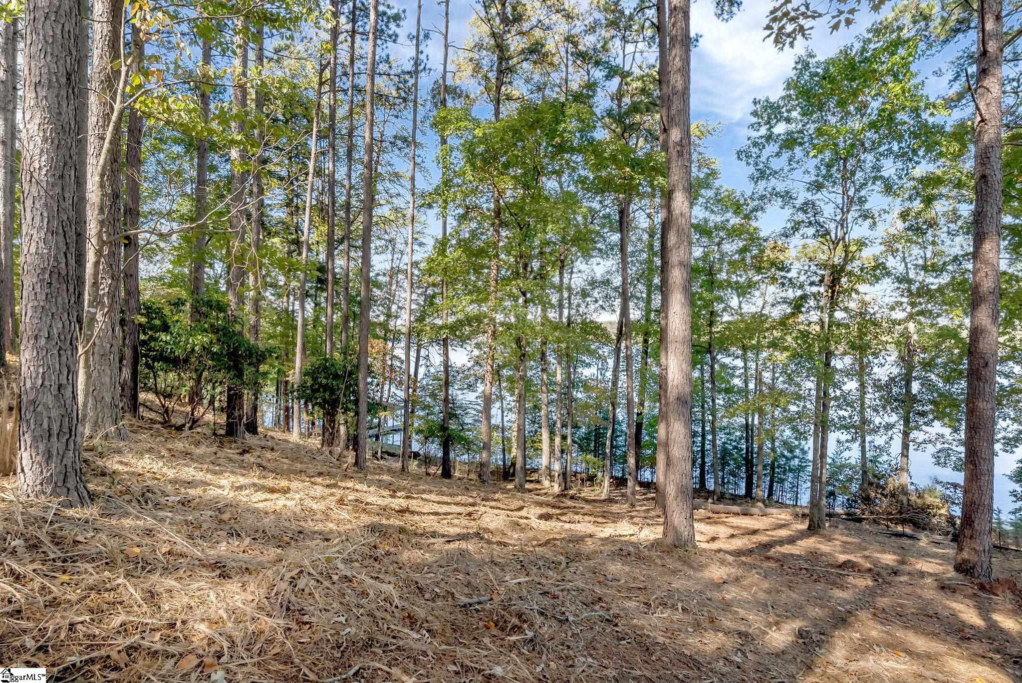 145 & 149 Bright Water Trail Property Photo 4