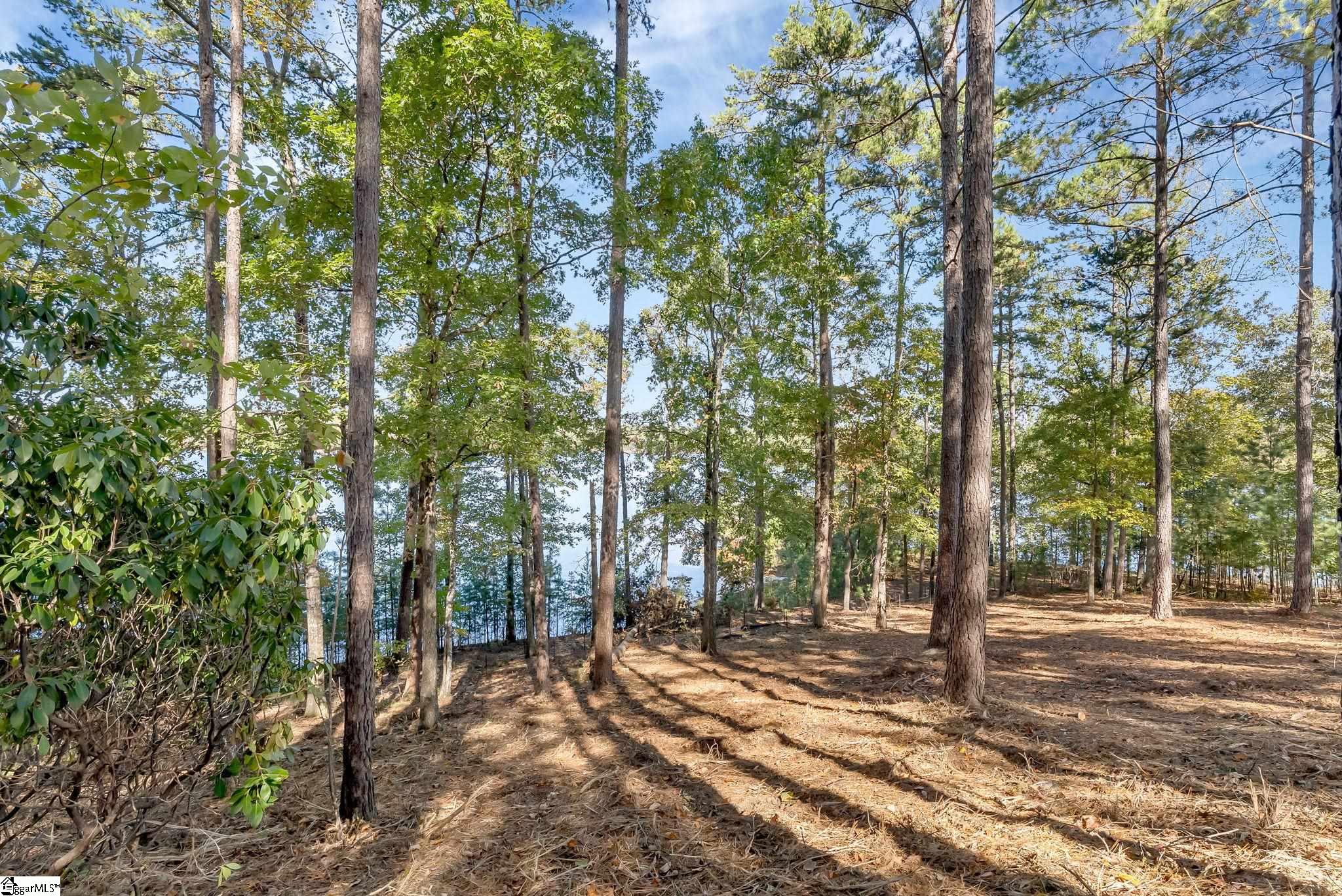 145 & 149 Bright Water Trail Property Photo 5