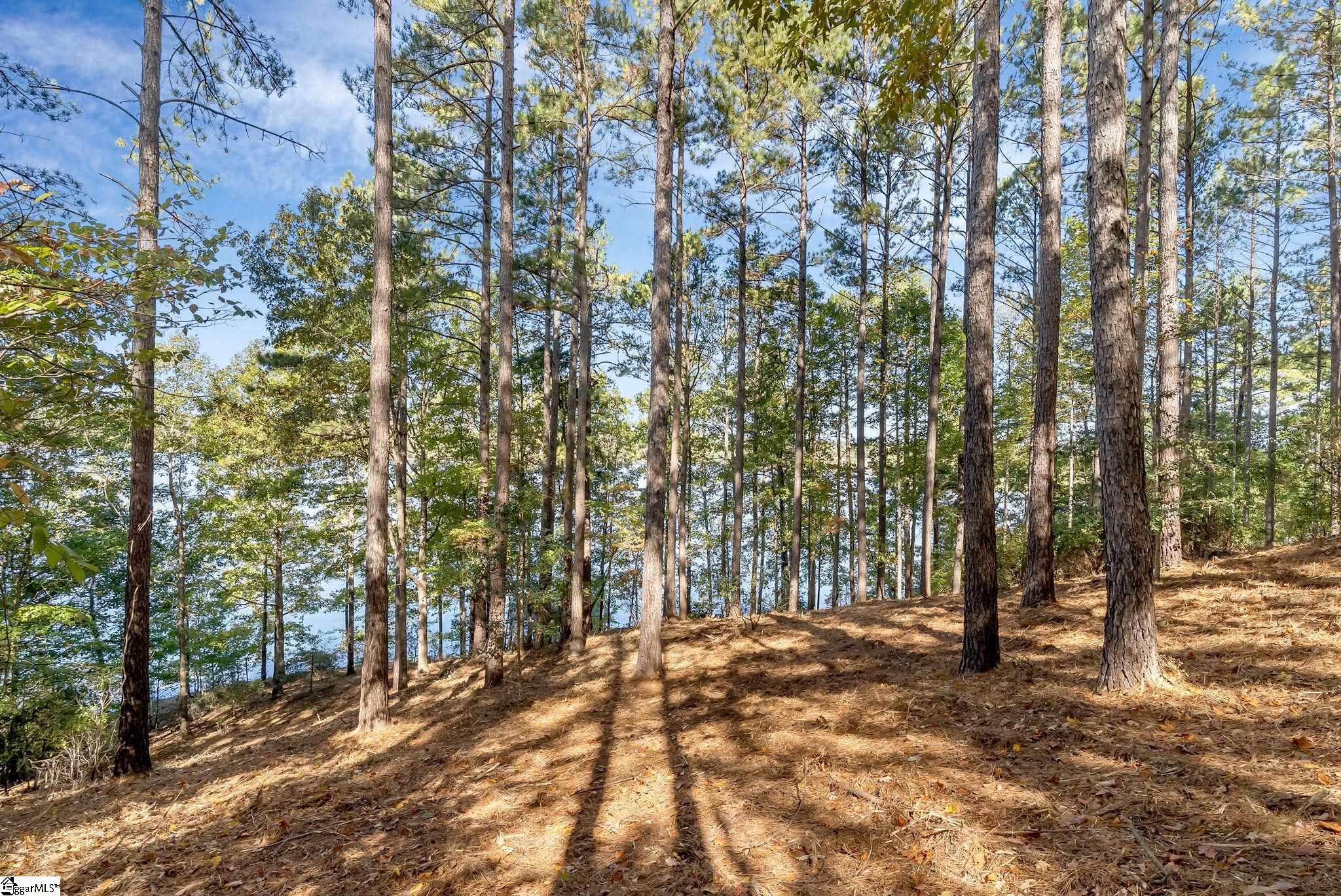145 & 149 Bright Water Trail Property Photo 7