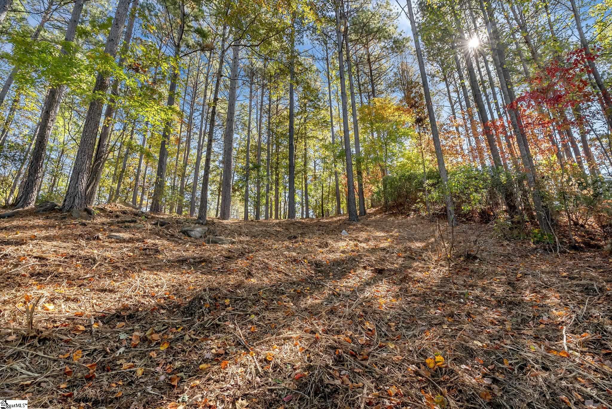 145 & 149 Bright Water Trail Property Photo 8
