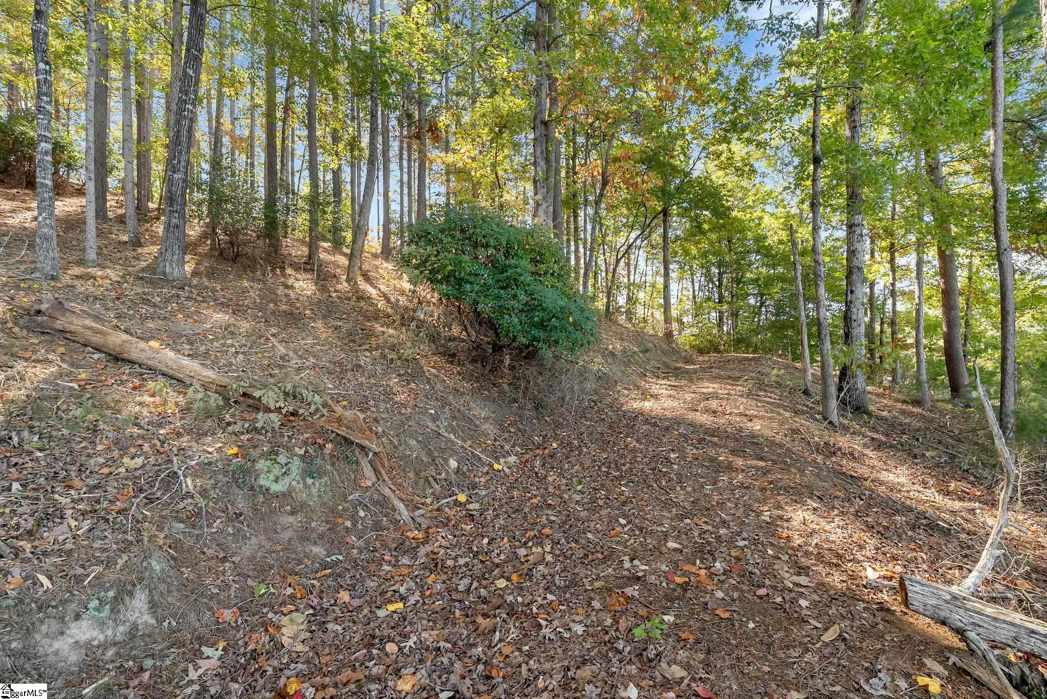145 & 149 Bright Water Trail Property Photo 16