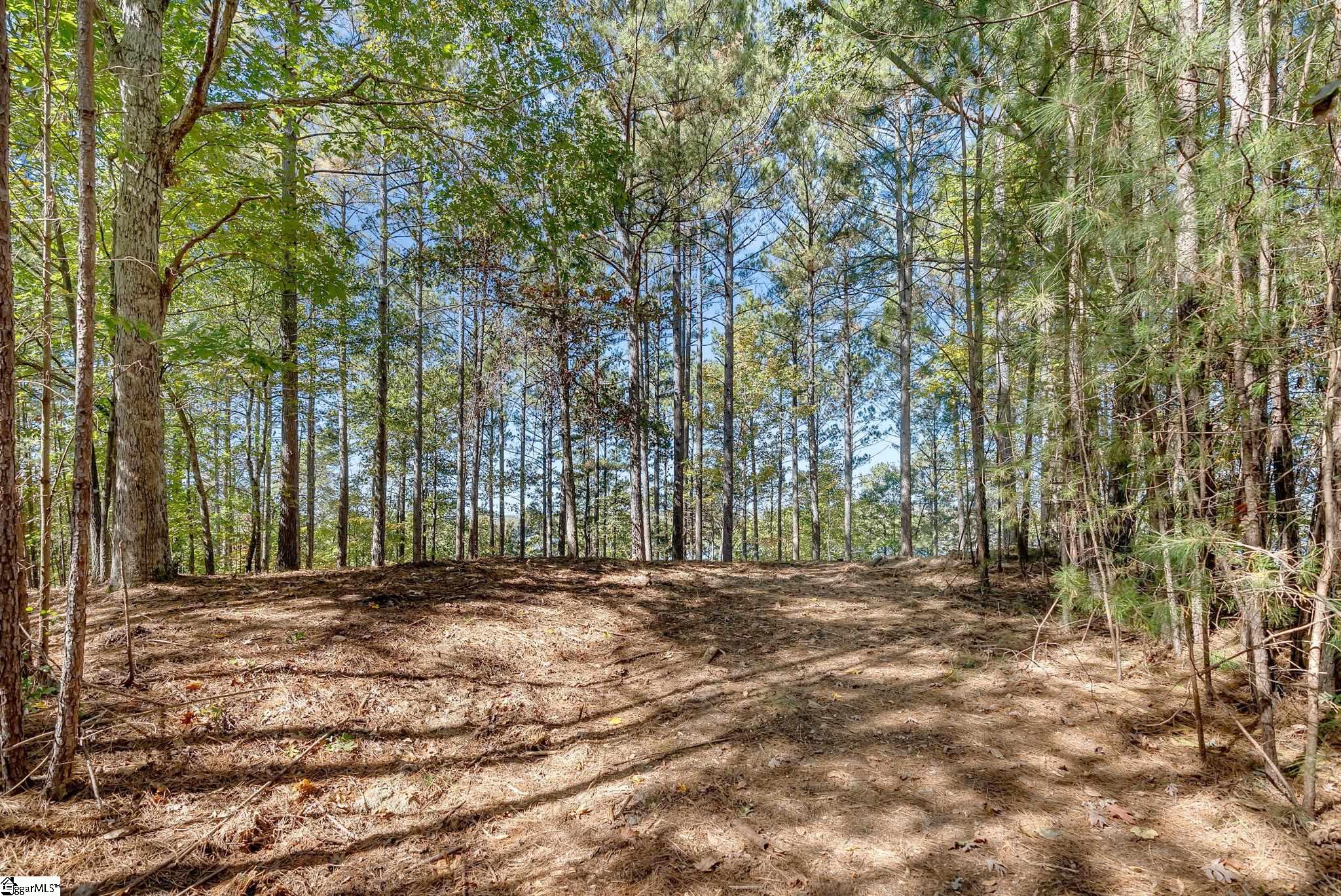 145 & 149 Bright Water Trail Property Photo 18
