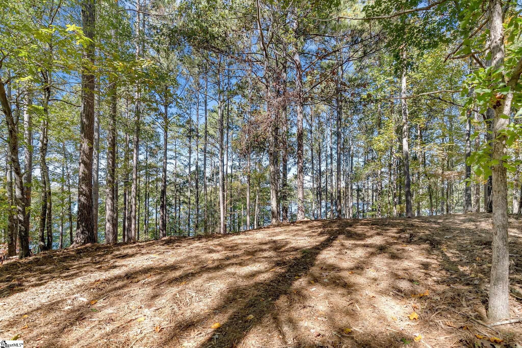 145 & 149 Bright Water Trail Property Photo 19