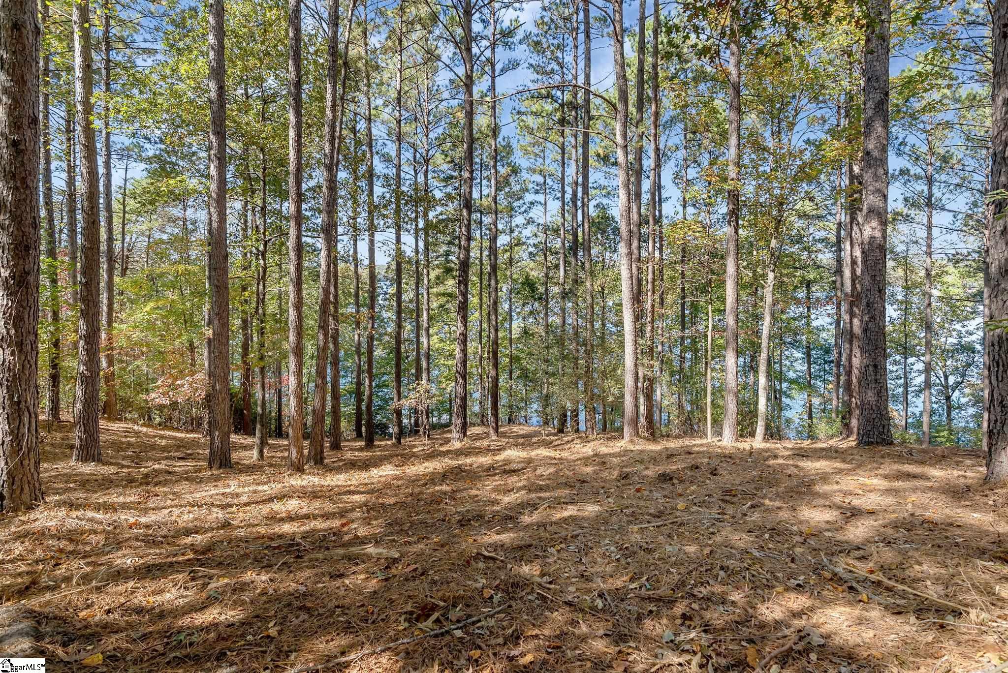 145 & 149 Bright Water Trail Property Photo 20