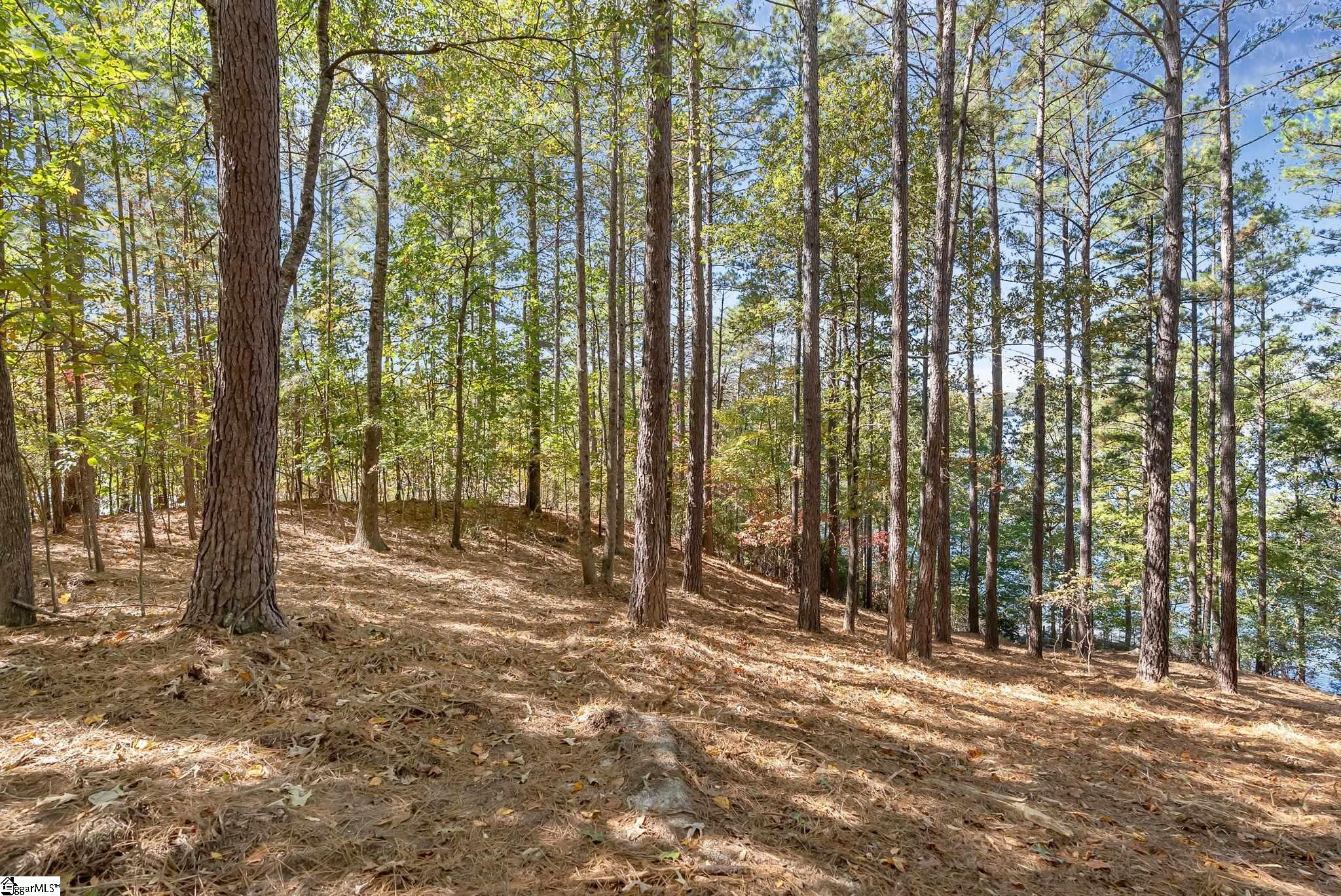 145 & 149 Bright Water Trail Property Photo 21
