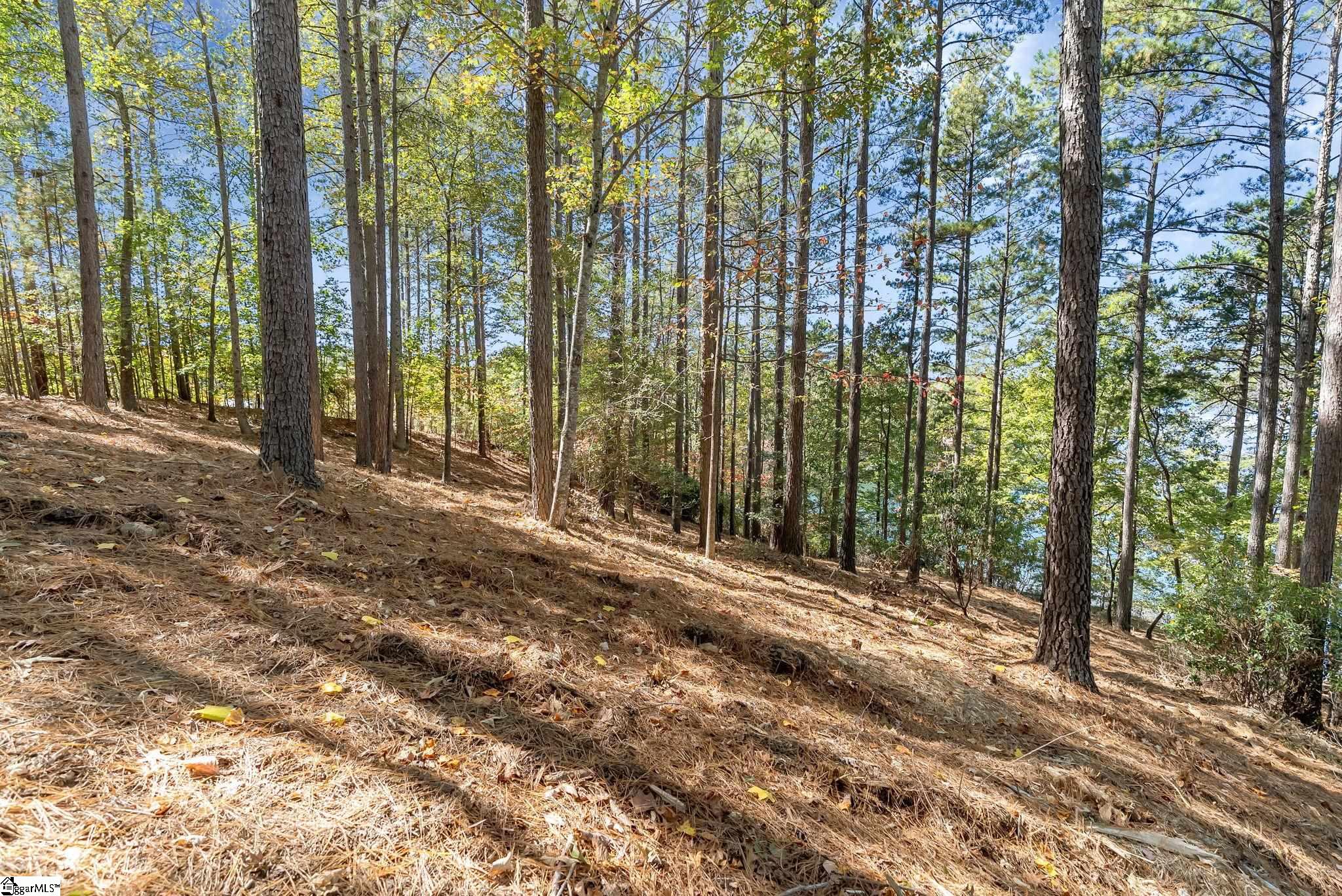 145 & 149 Bright Water Trail Property Photo 22