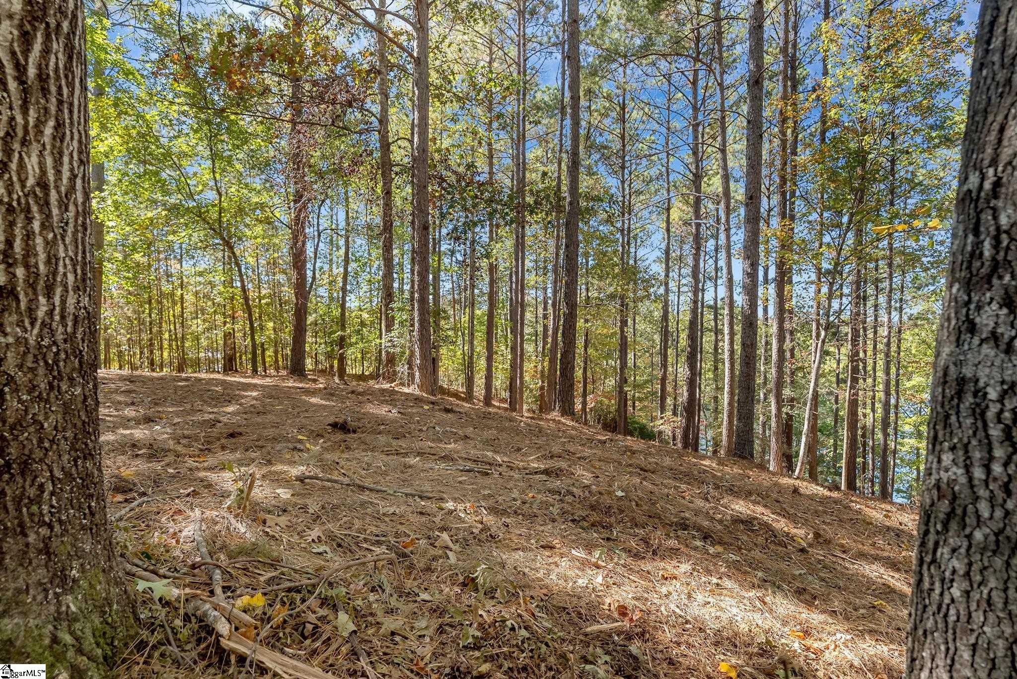 145 & 149 Bright Water Trail Property Photo 23