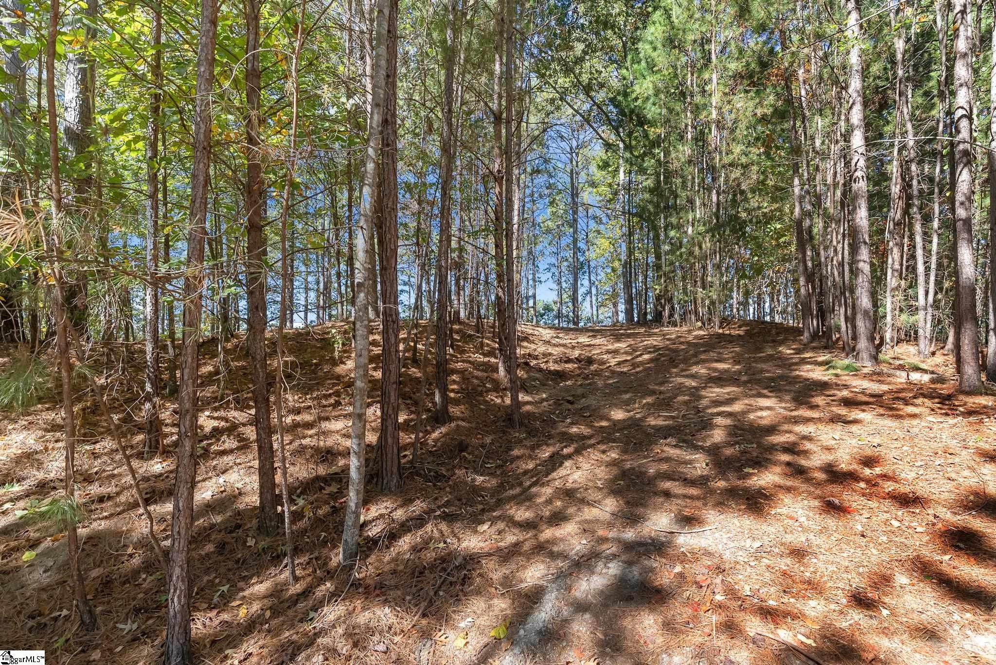 145 & 149 Bright Water Trail Property Photo 24