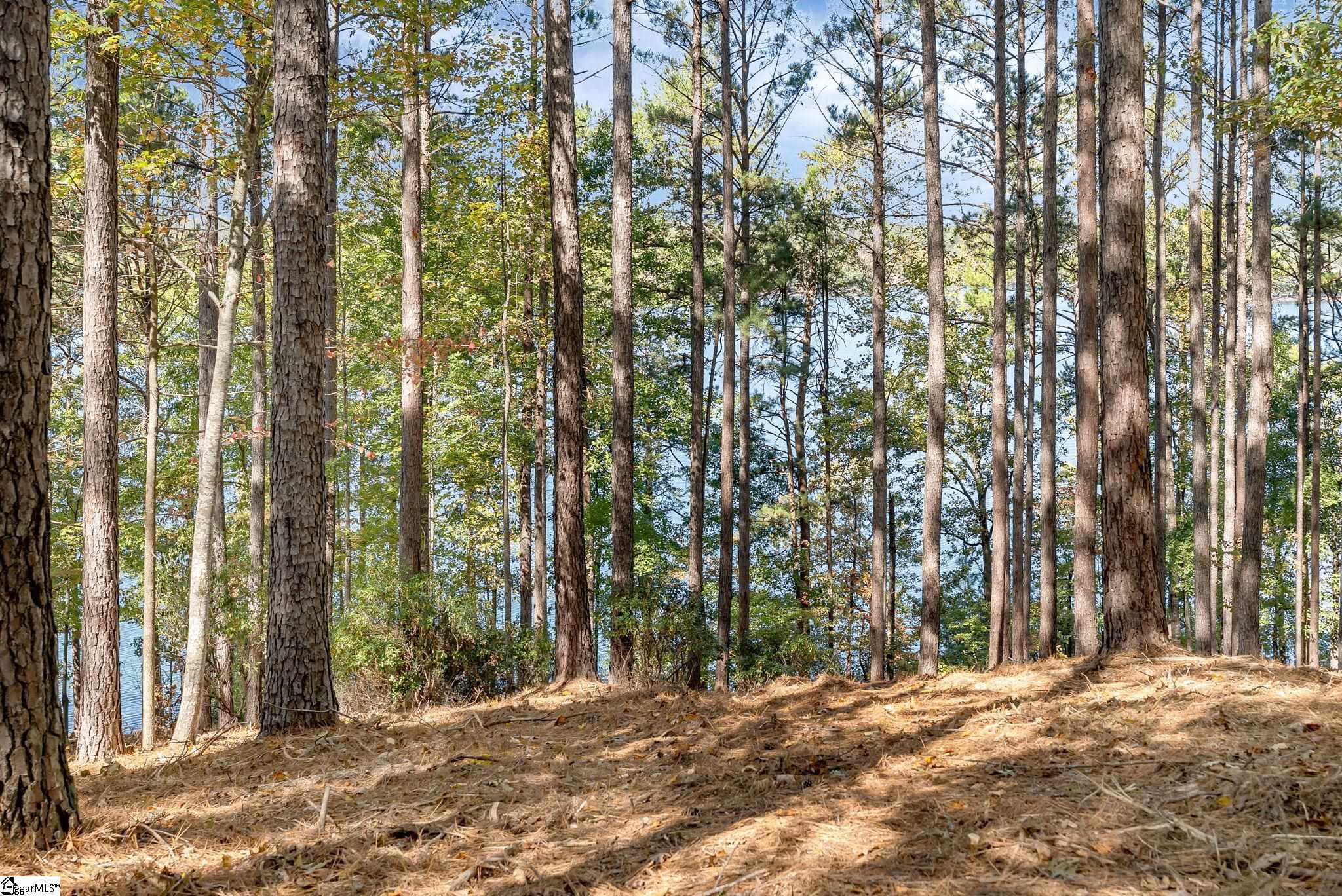 145 & 149 Bright Water Trail Property Photo 25