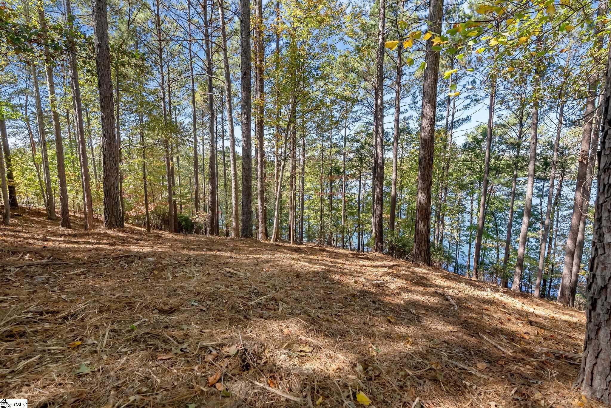 145 & 149 Bright Water Trail Property Photo 26
