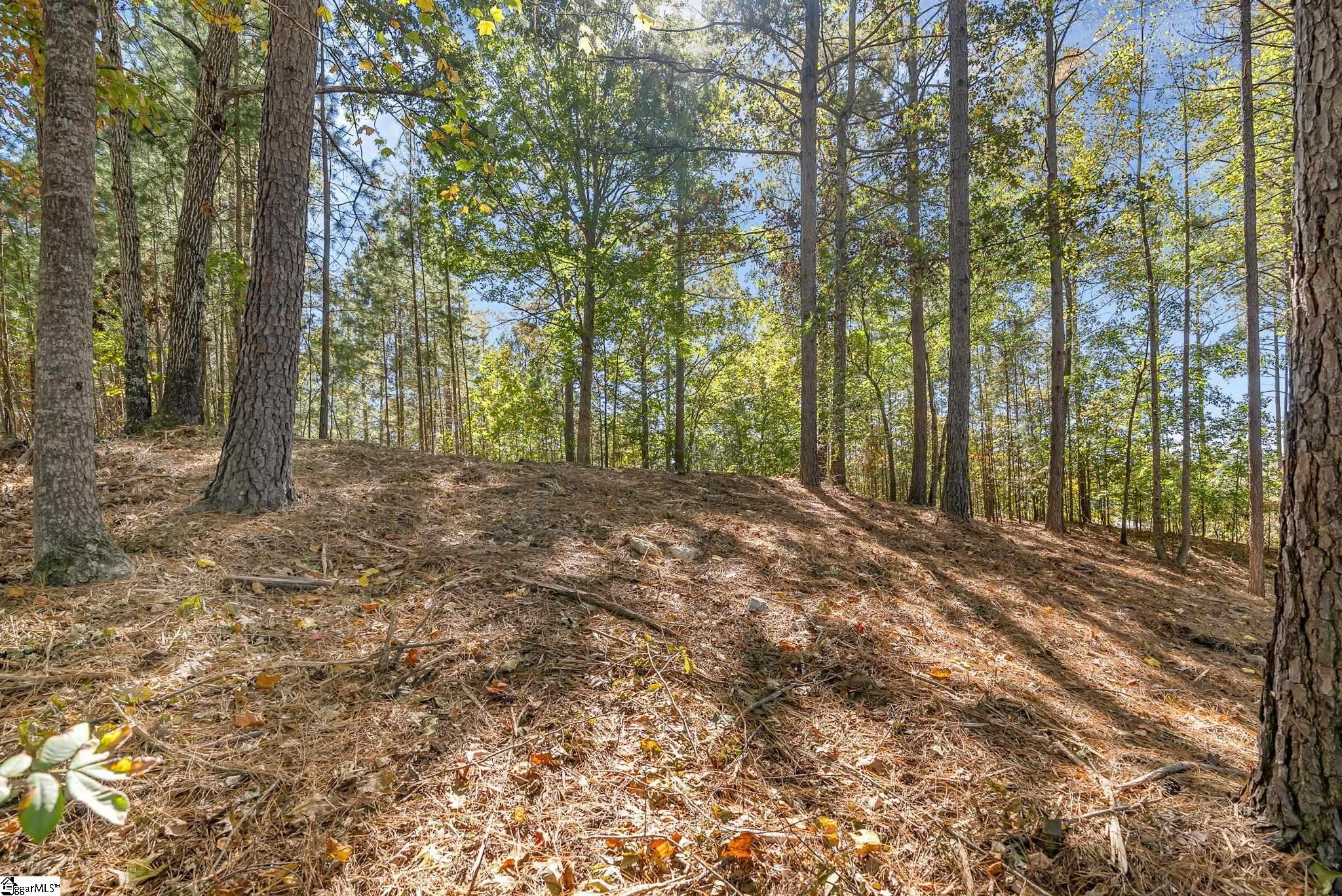 145 & 149 Bright Water Trail Property Photo 27